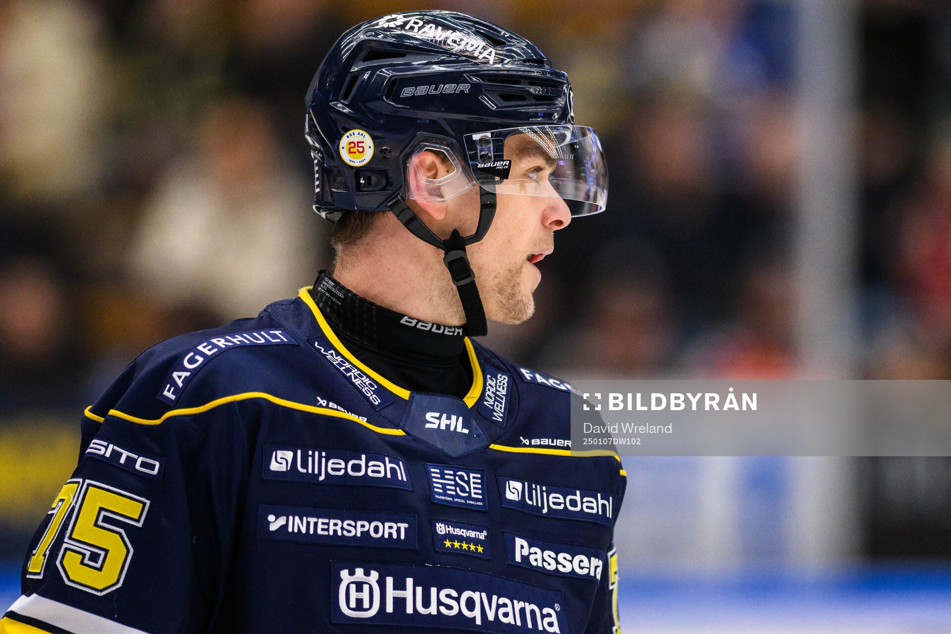 HV71s Radan Lenc