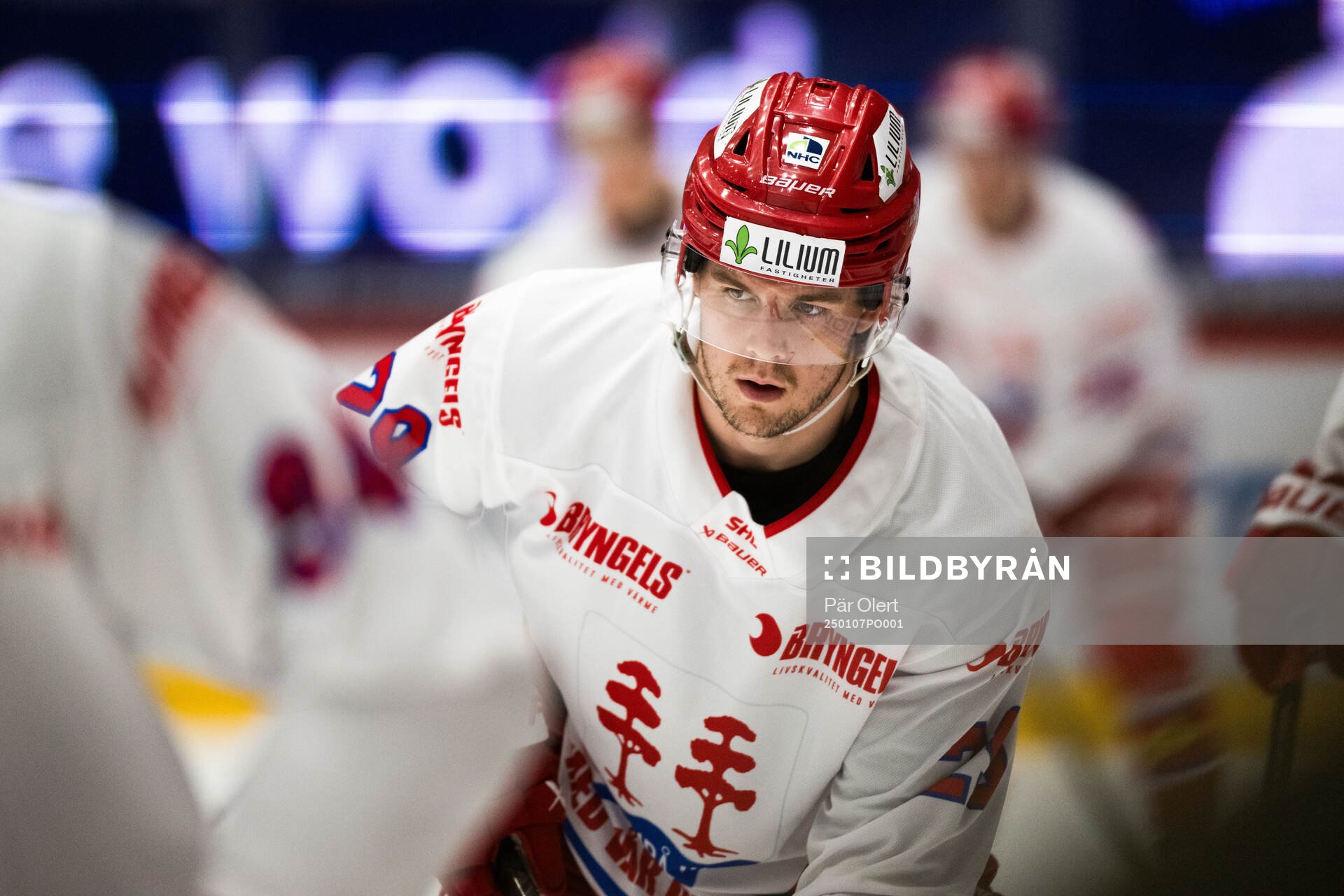 Timrås Filip Hållander