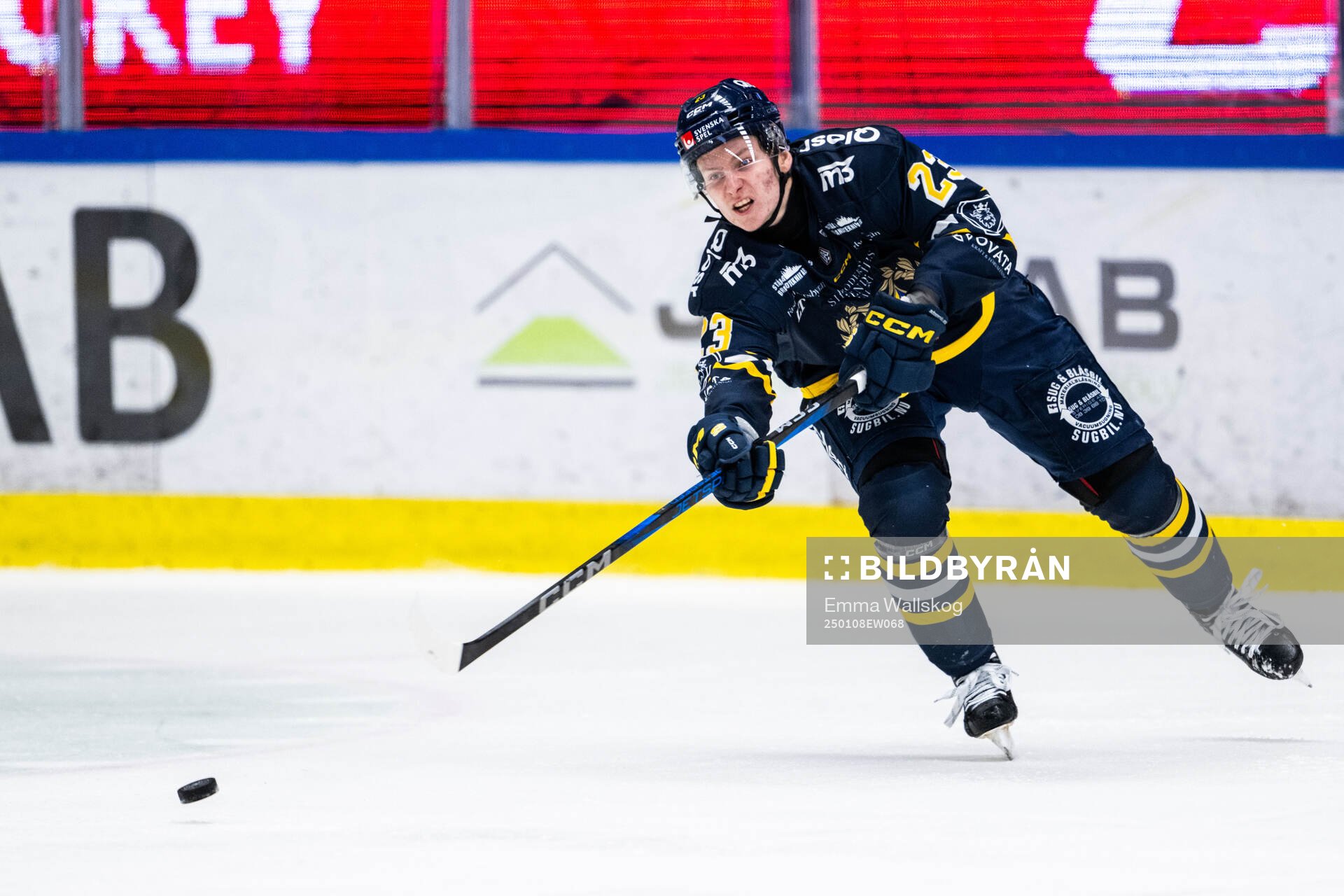 Södertäljes Egor Polin