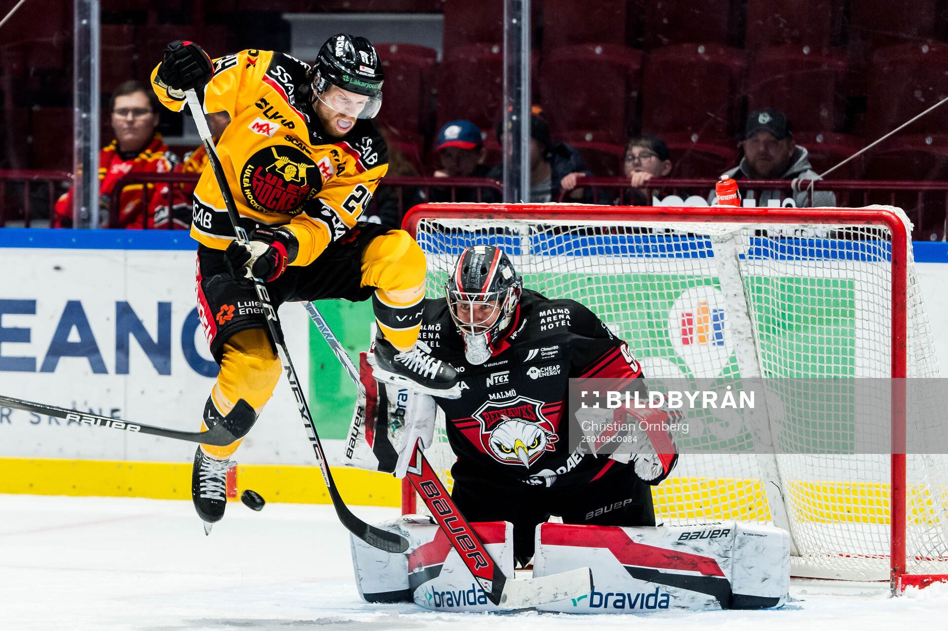 Luleås Brendan Shinnimin och Malmö Redhawks målvakt