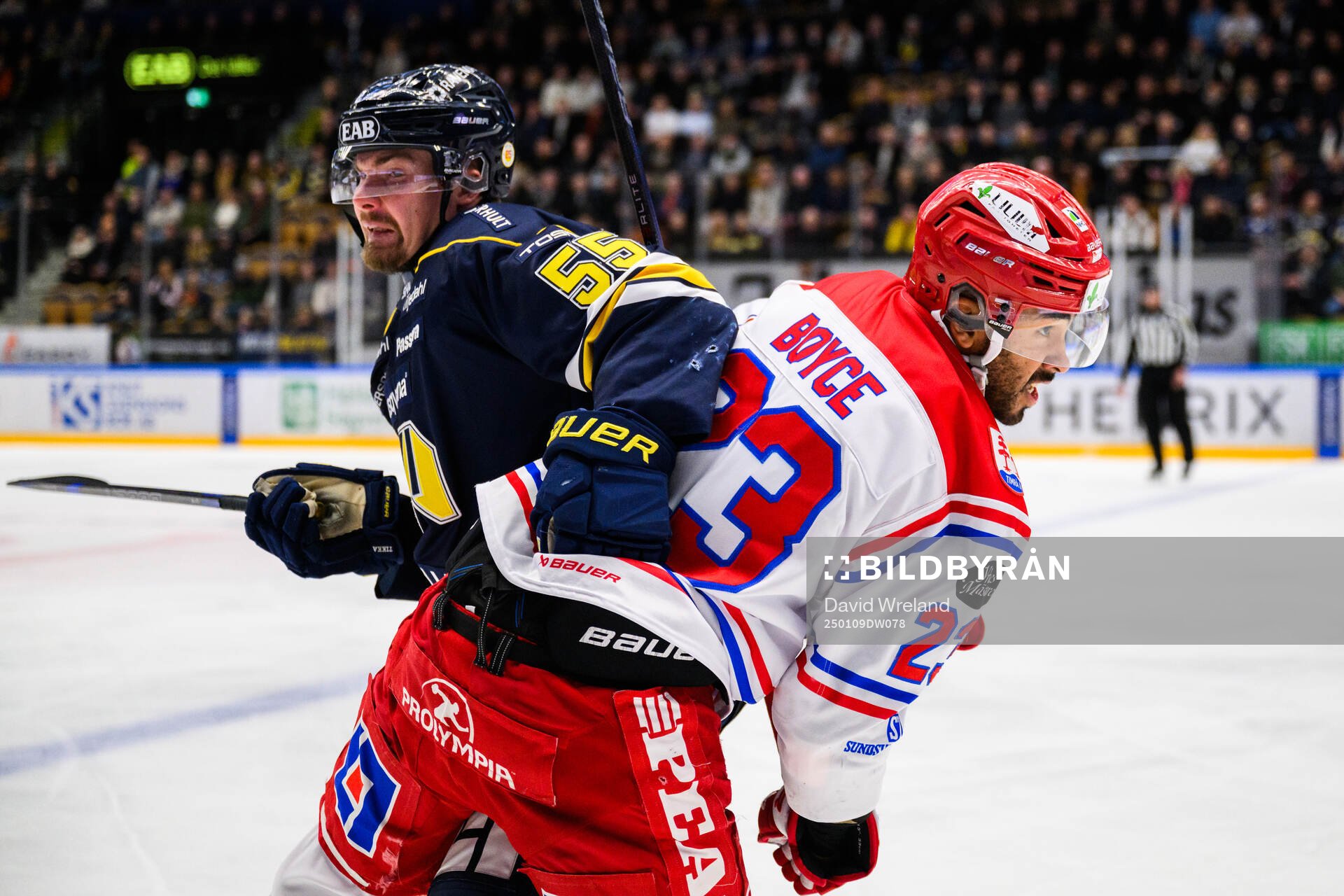 HV71s Mikael Seppälä och Timrås Jeremy Boyce-Rotevall