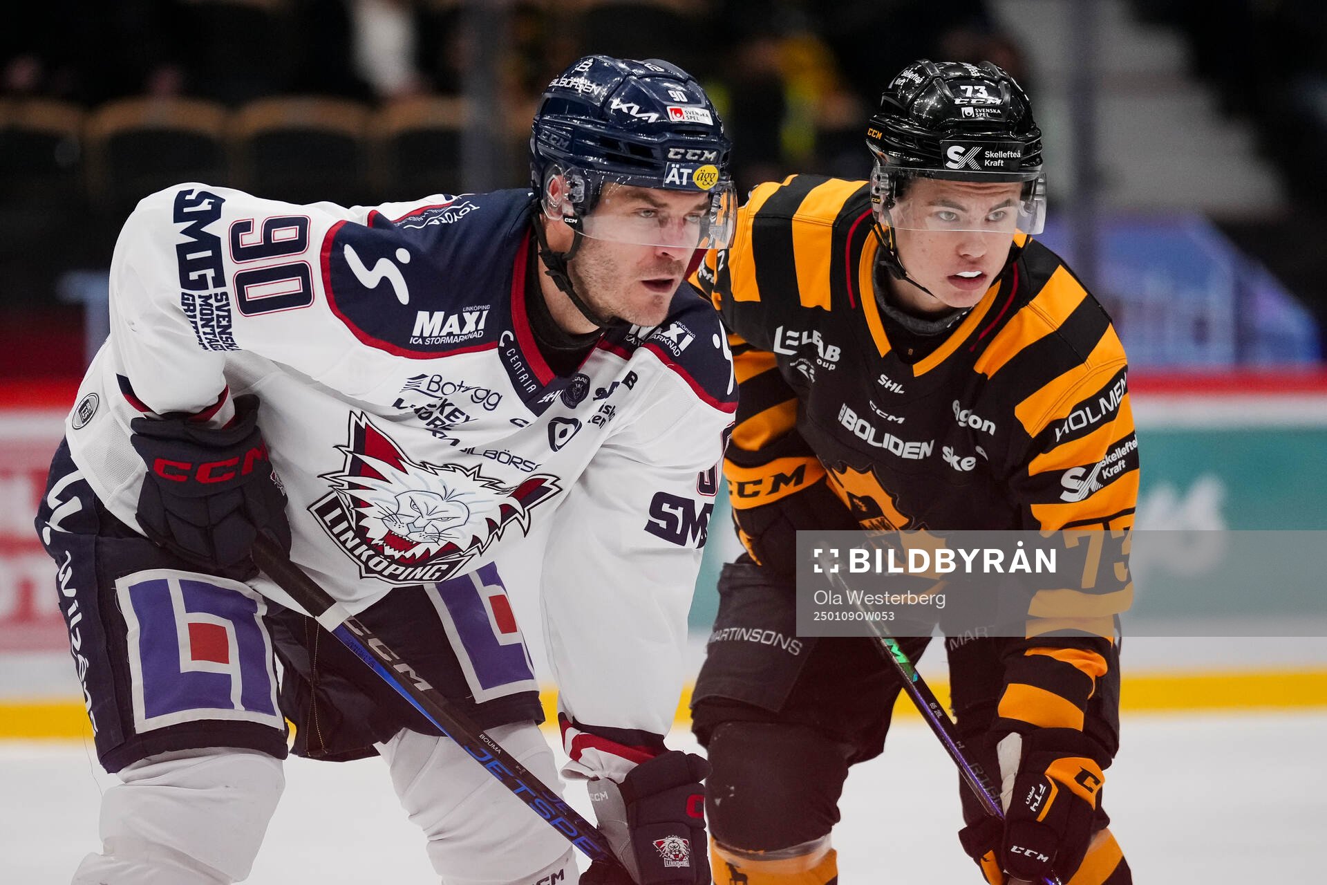 Linköpings Lance Bouma och Skellefteås Viggo Nordlund