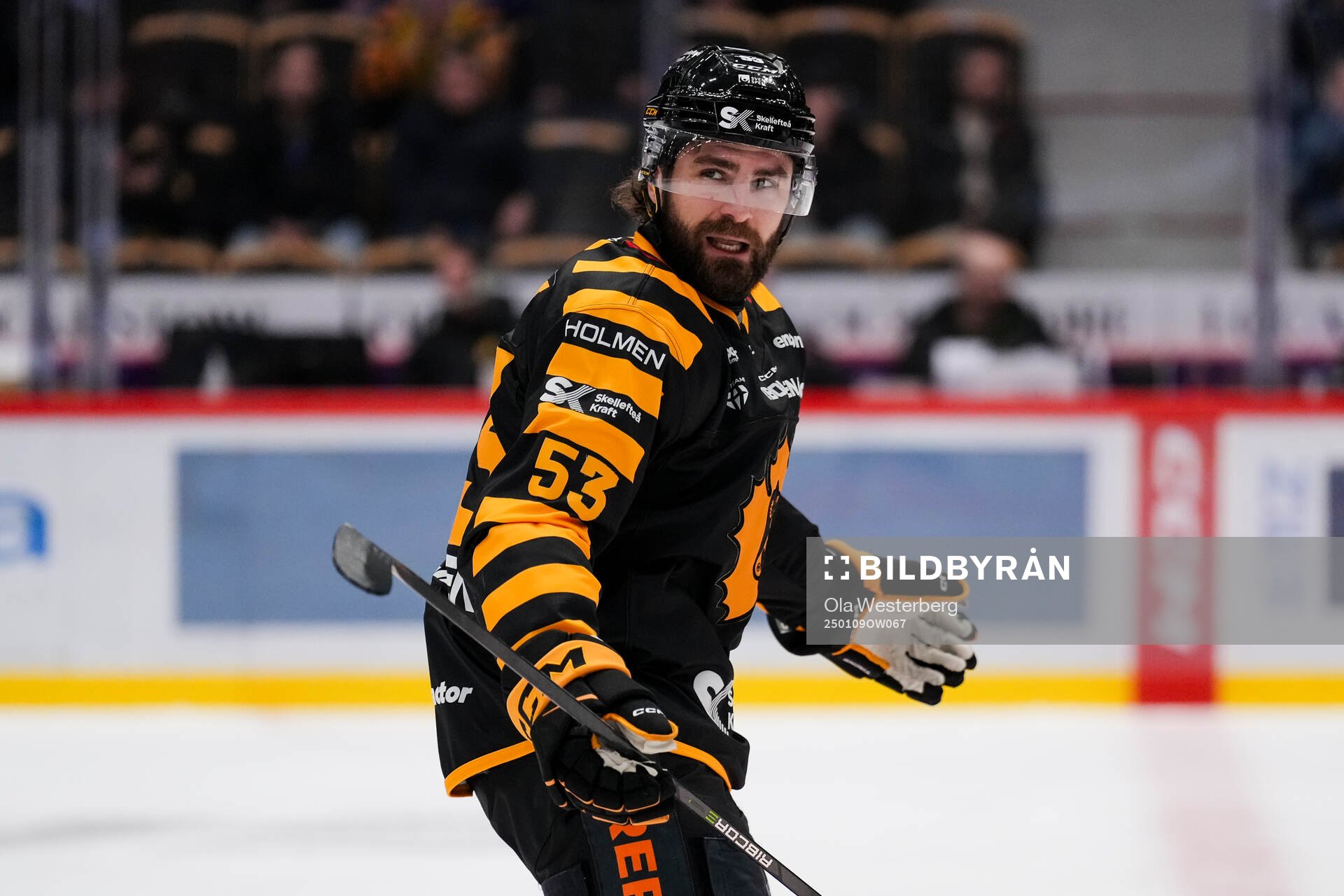 Skellefteås Luke Witkowski