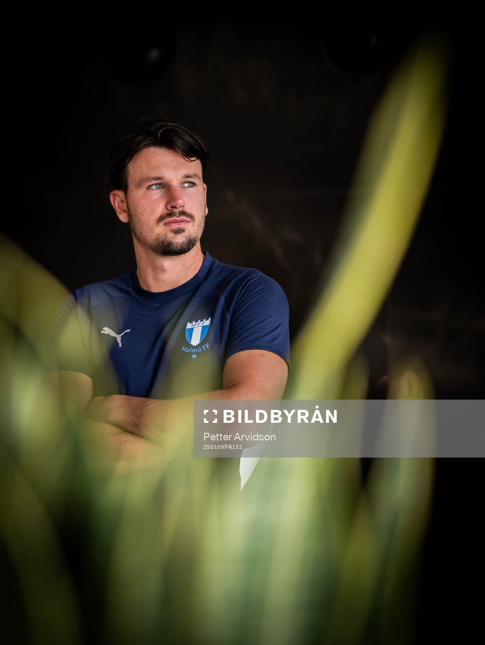 Stefano Vecchia
