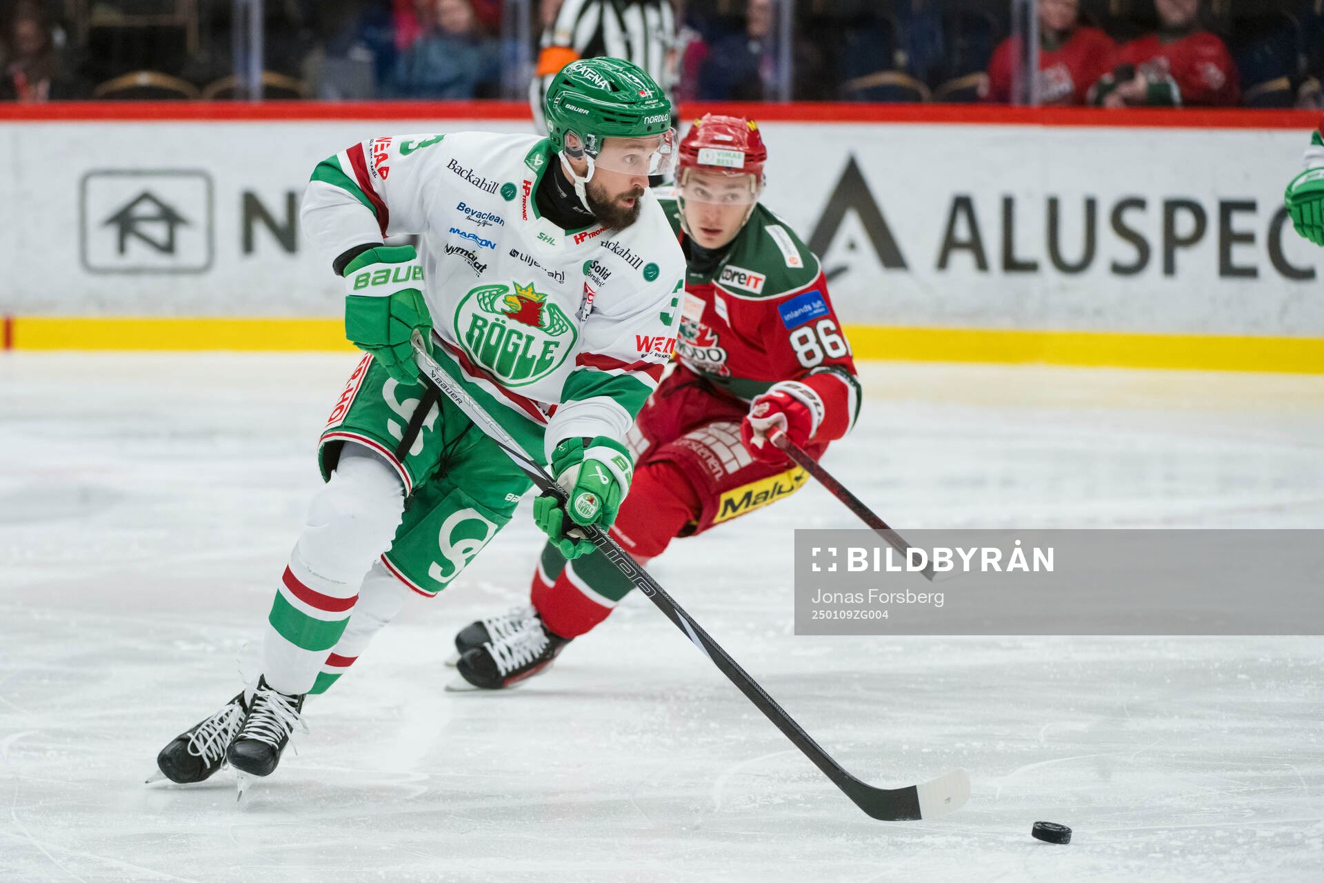 Rögles Michael Kapla