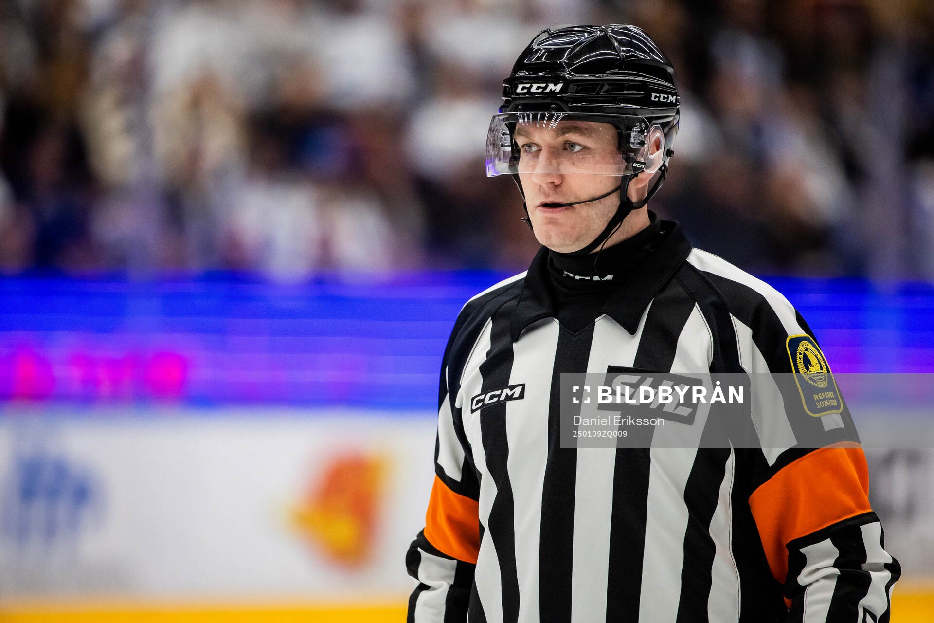 Domare Daniel Eriksson