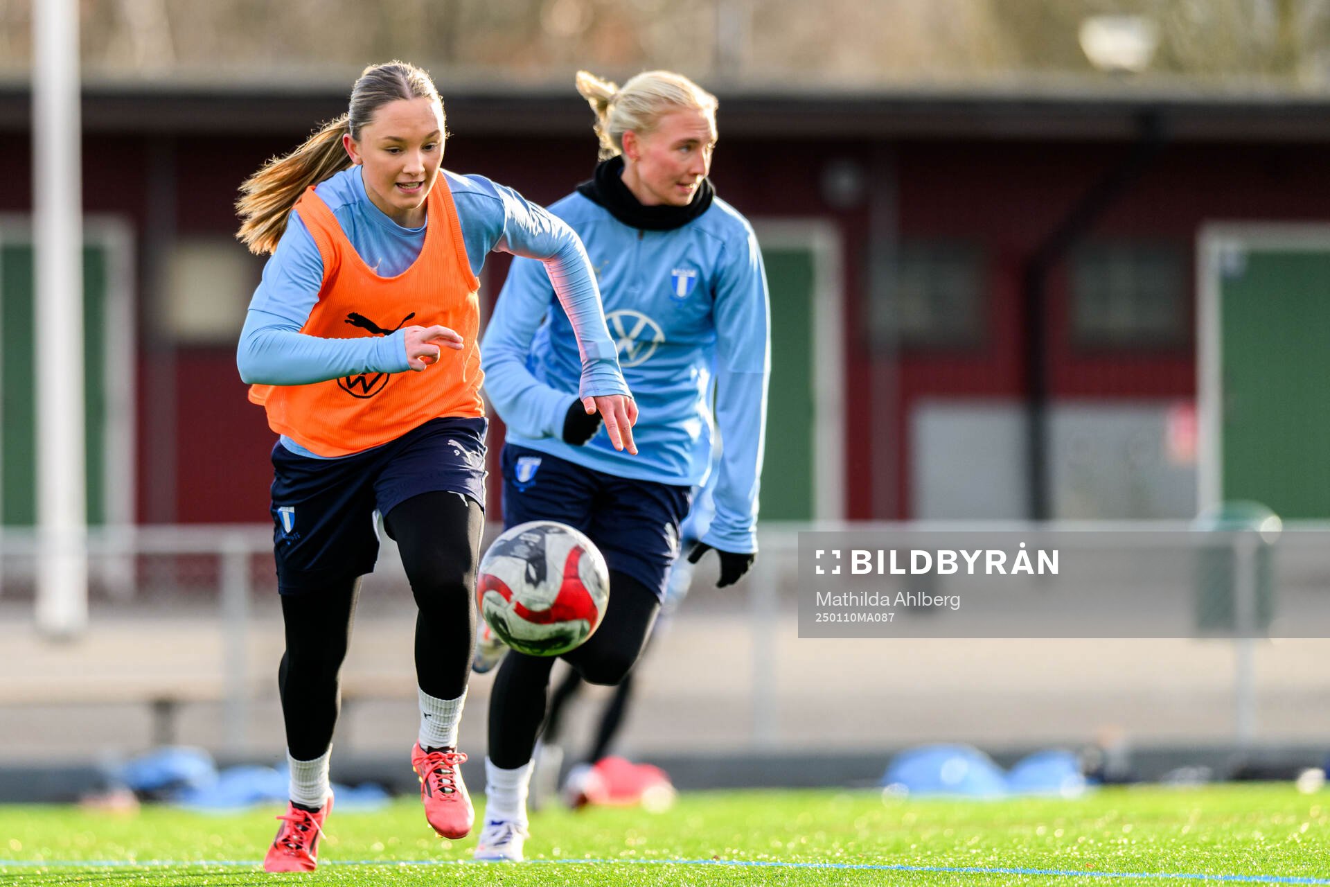 Nova Rolfsson
