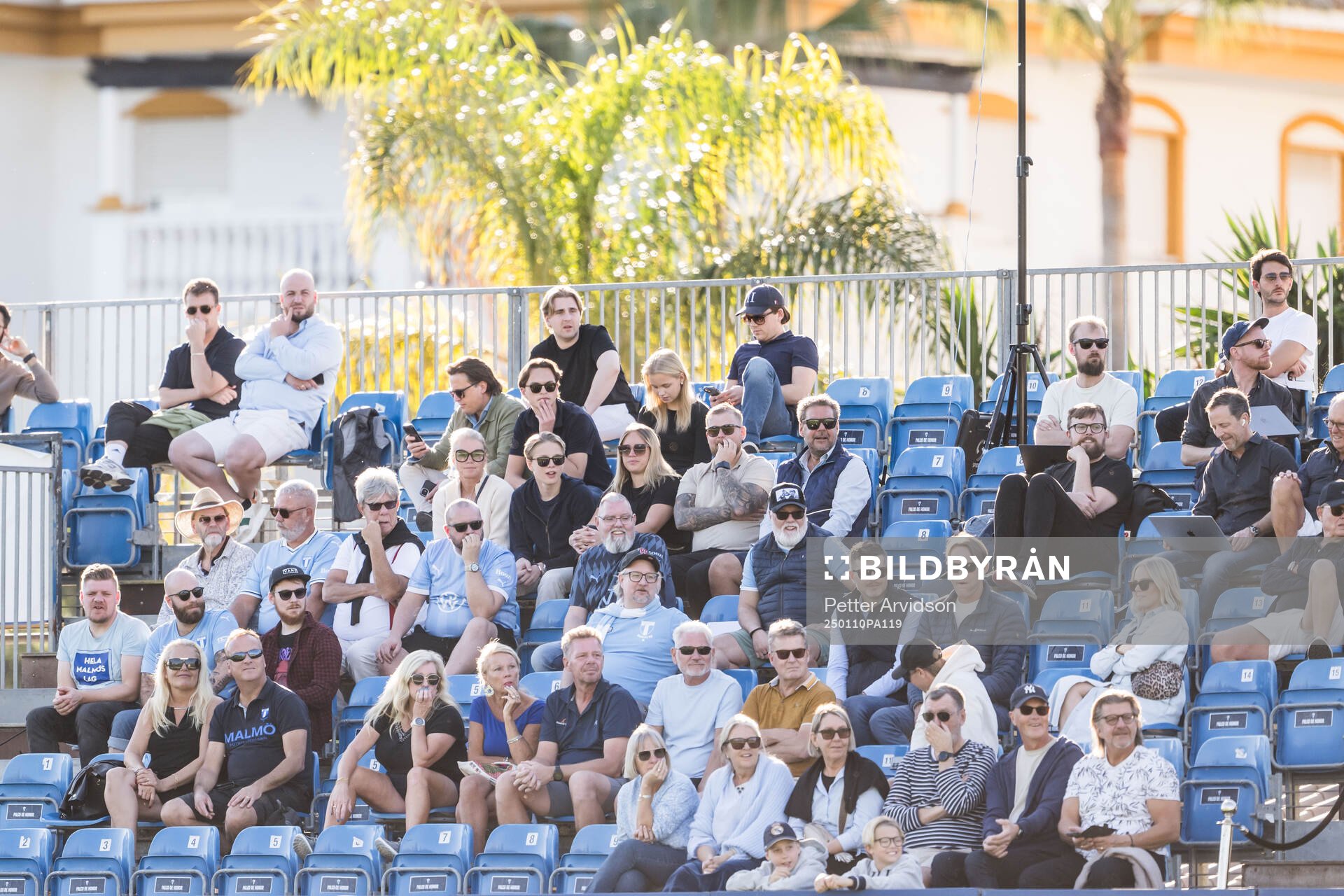 Audience