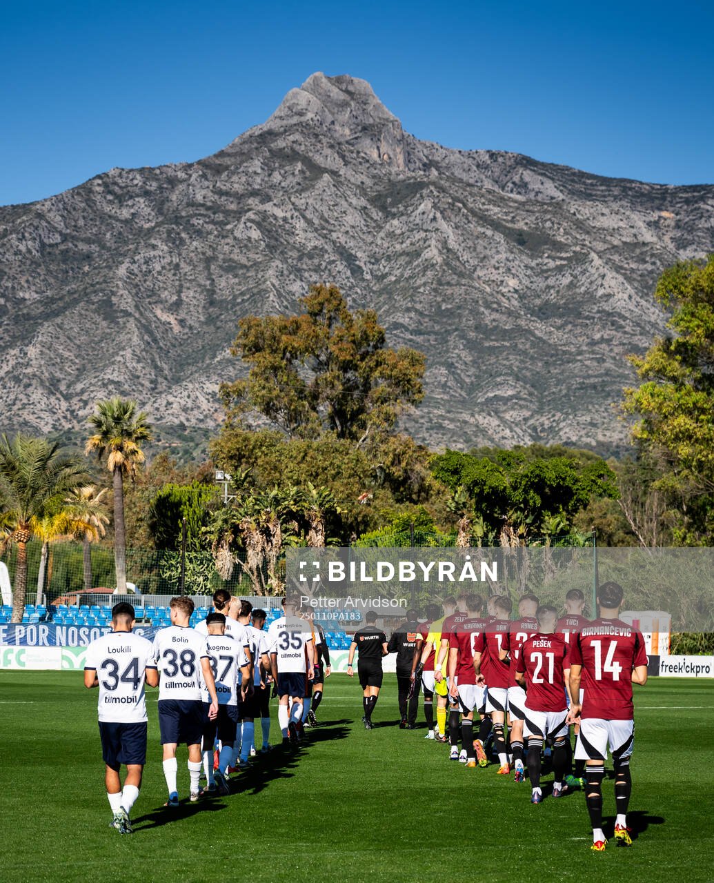 The players enter the pitch