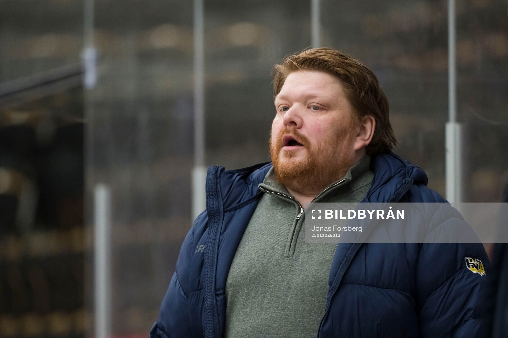 HV71s tränare Thomas Pettersen
