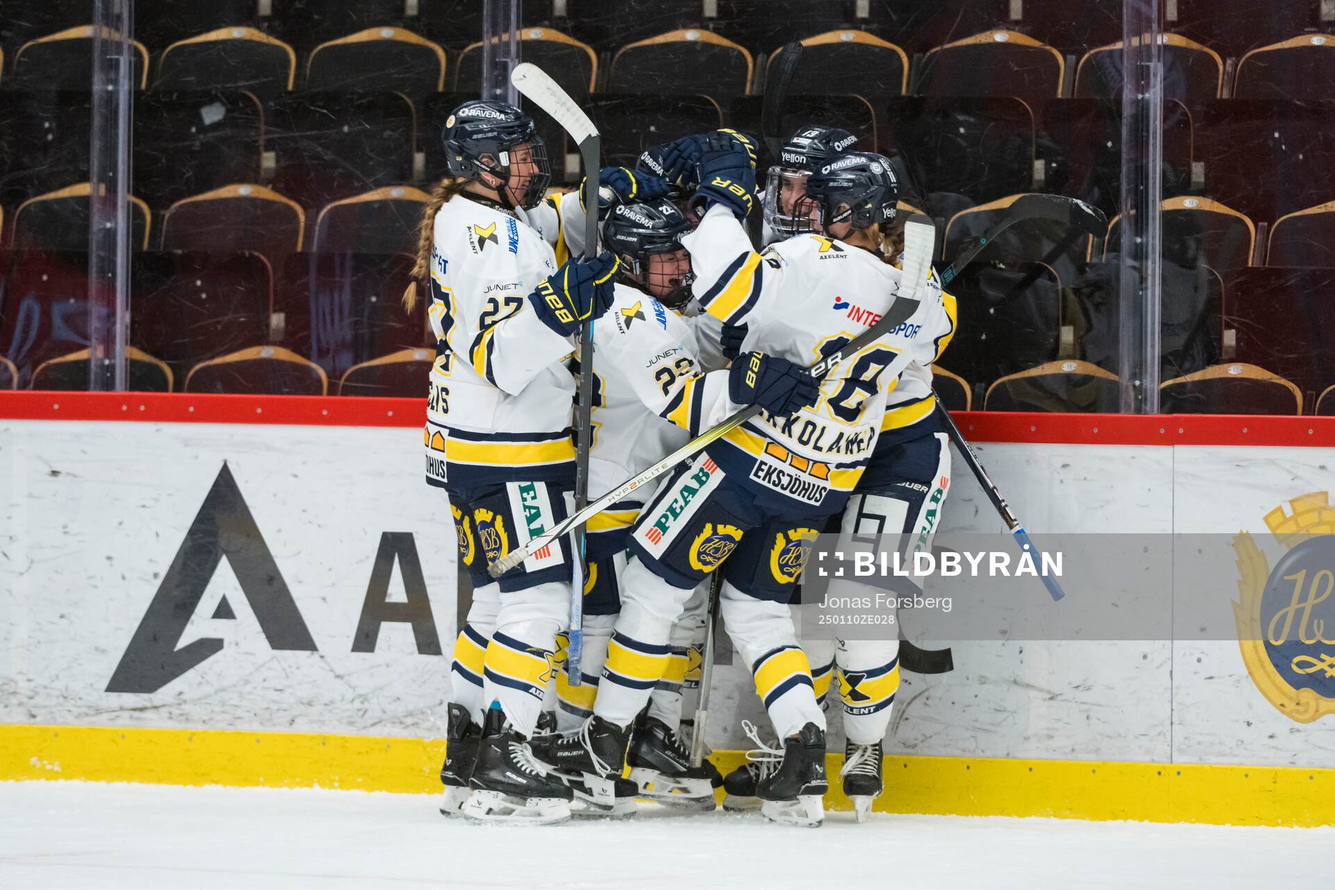 HV71s spelare jublar