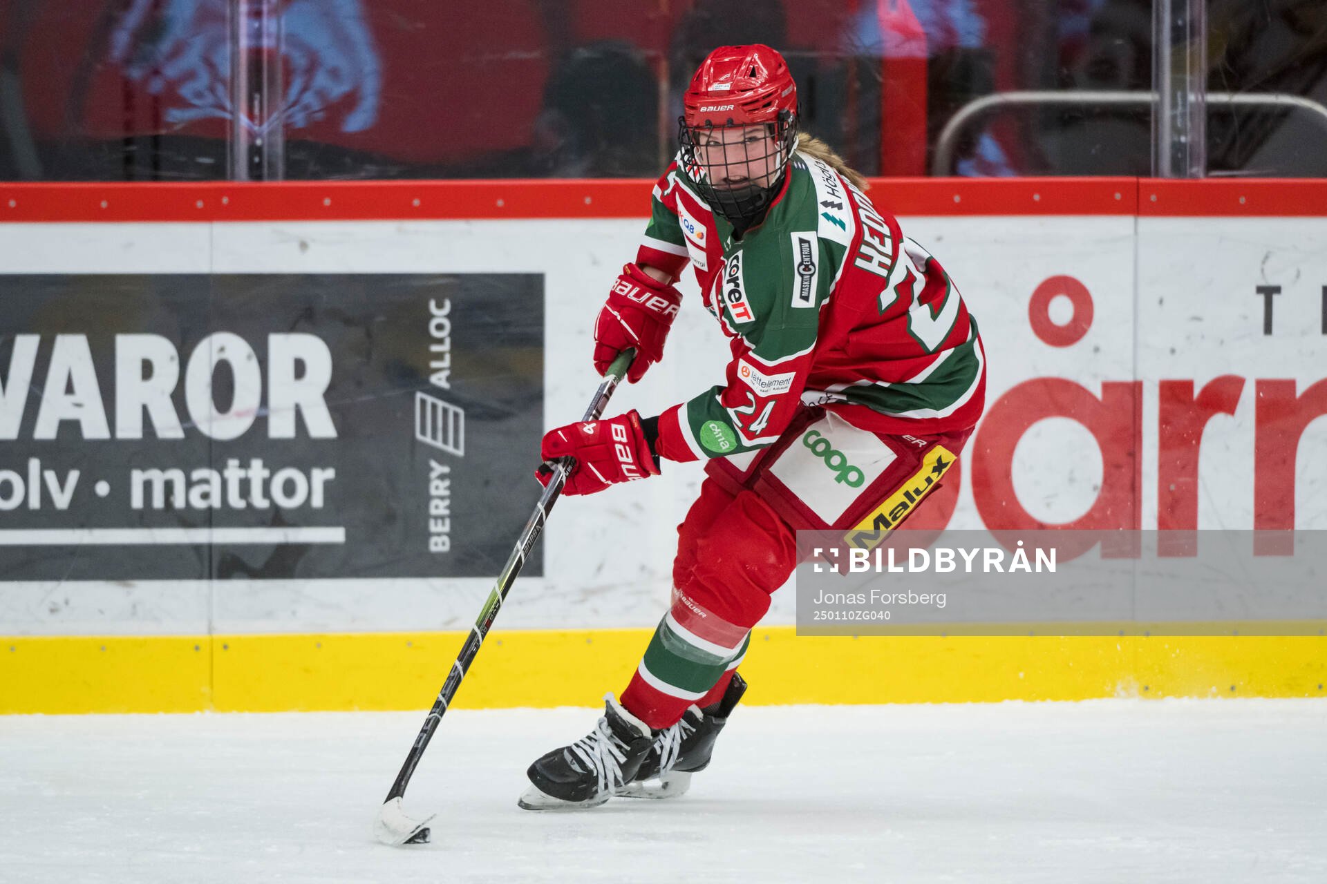 Modos Ebba Hedqvist