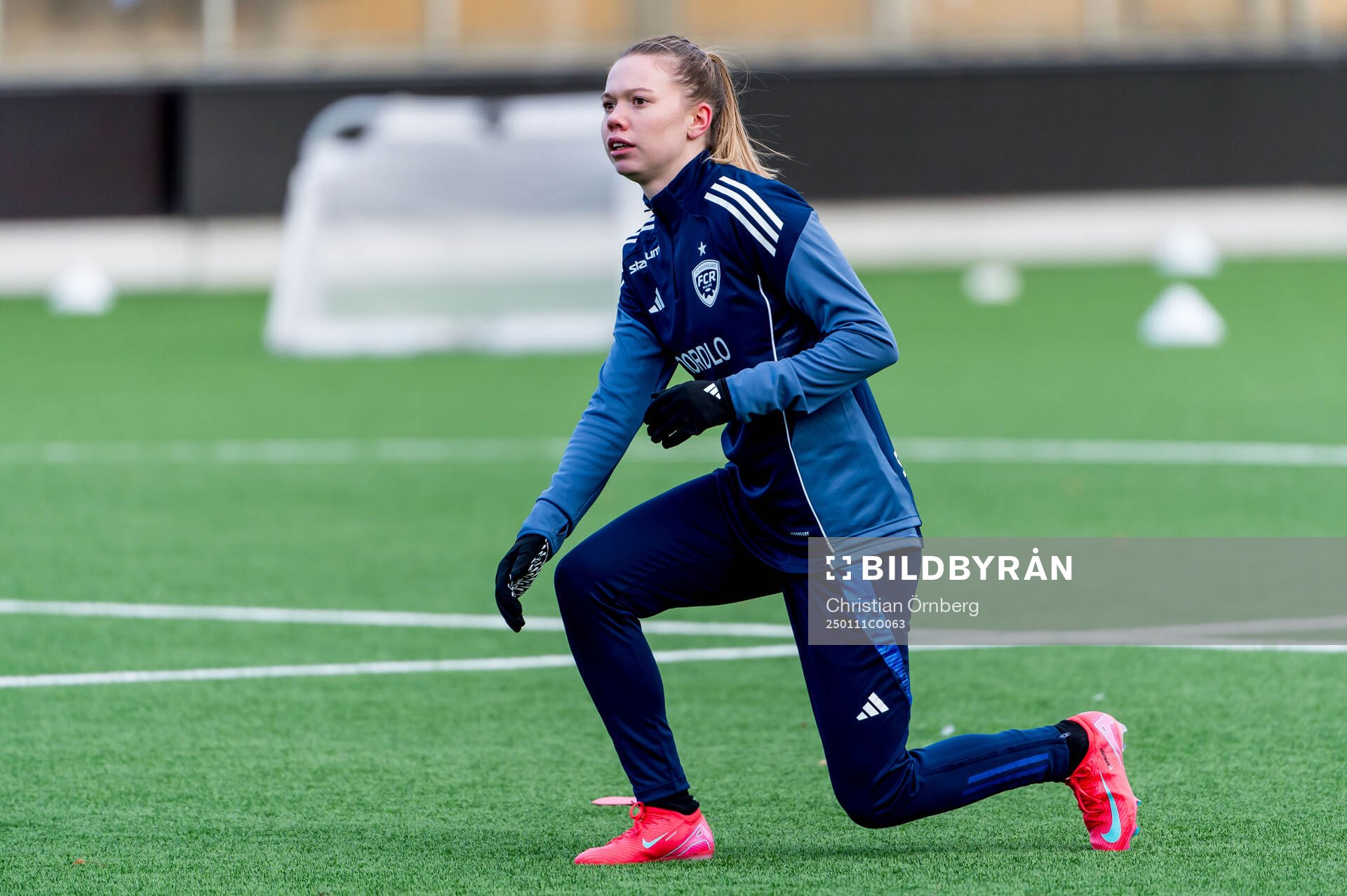 Rosengårds Bea Sprung