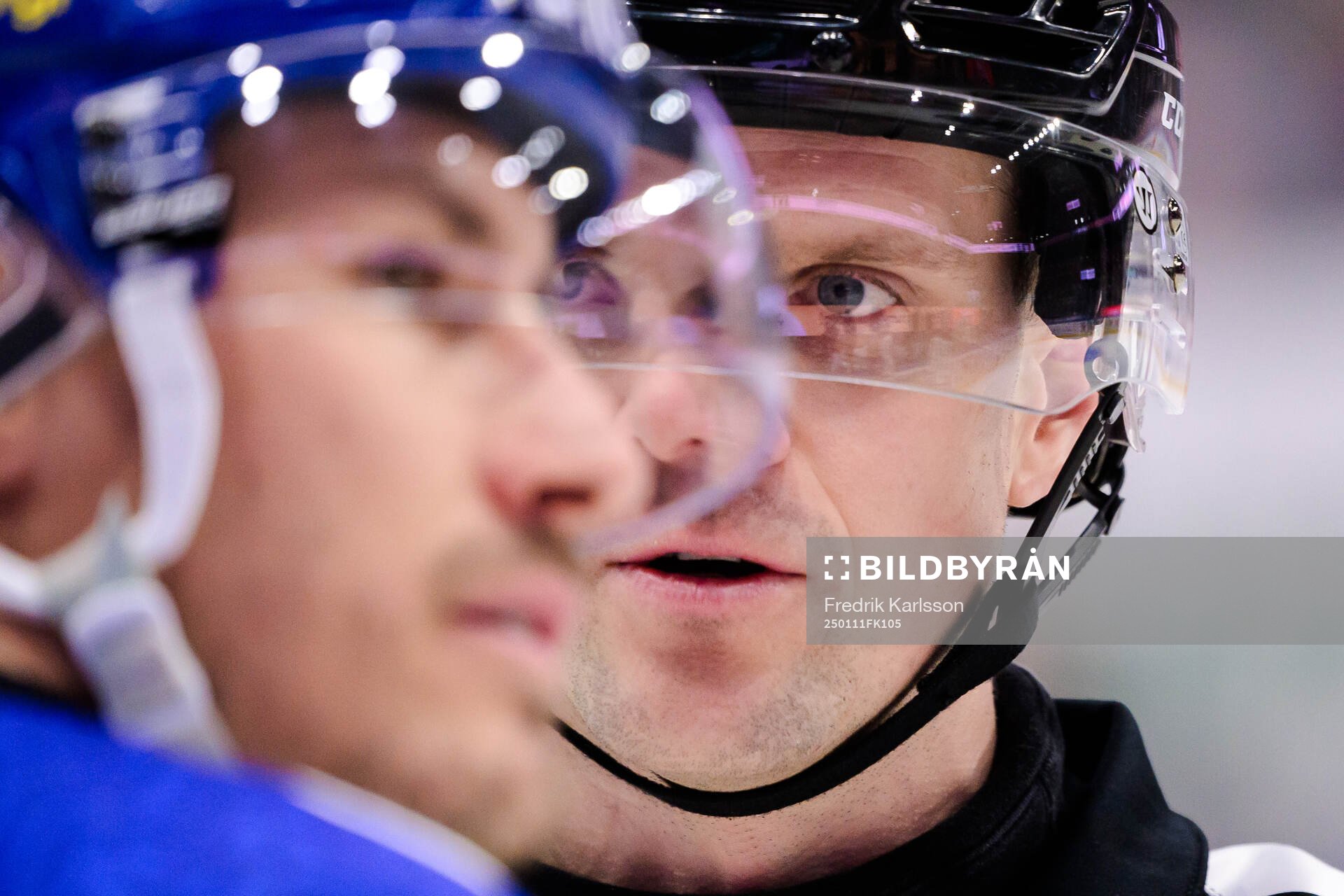 Domare Stefan Leijonklo