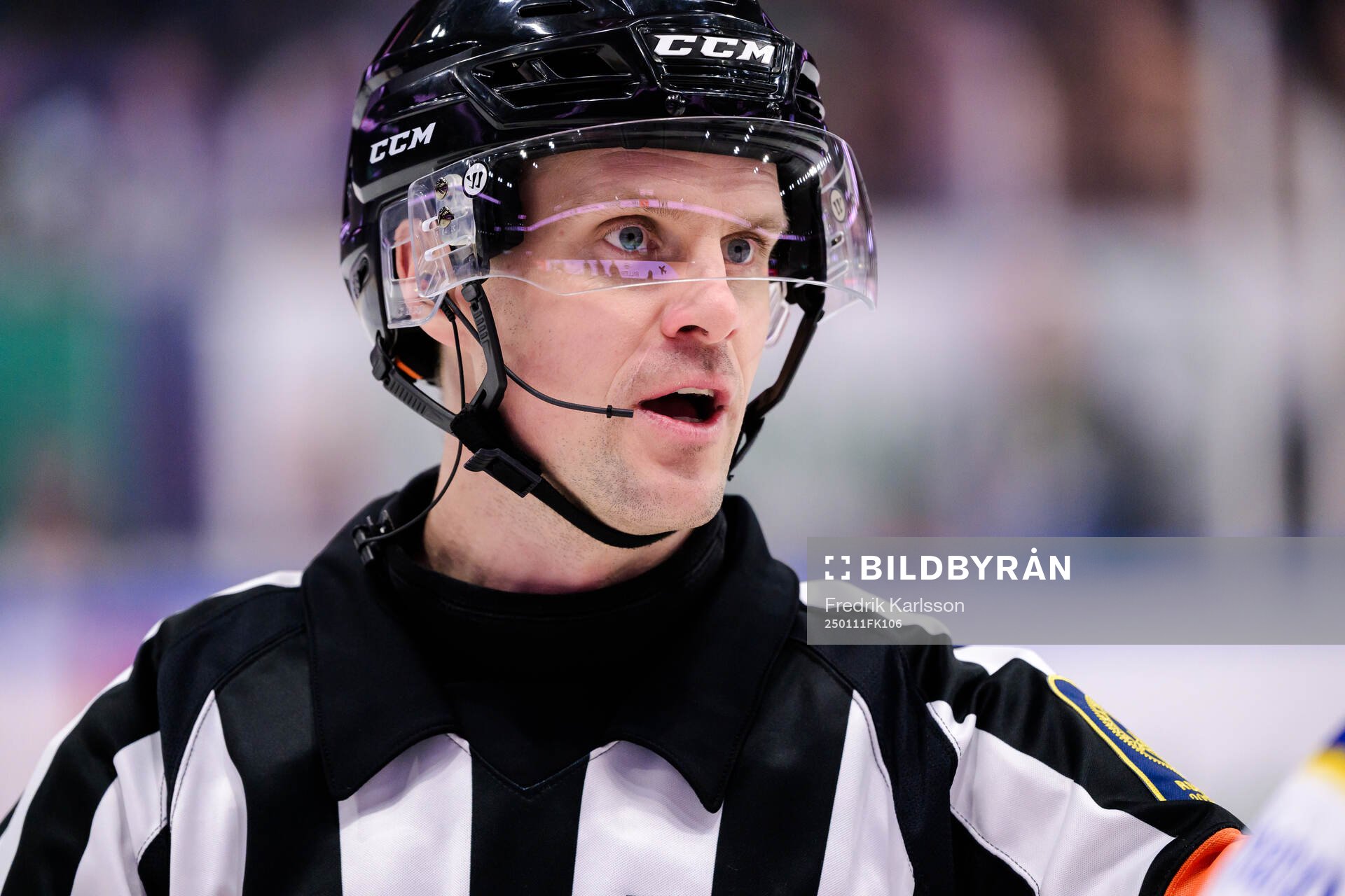Domare Stefan Leijonklo