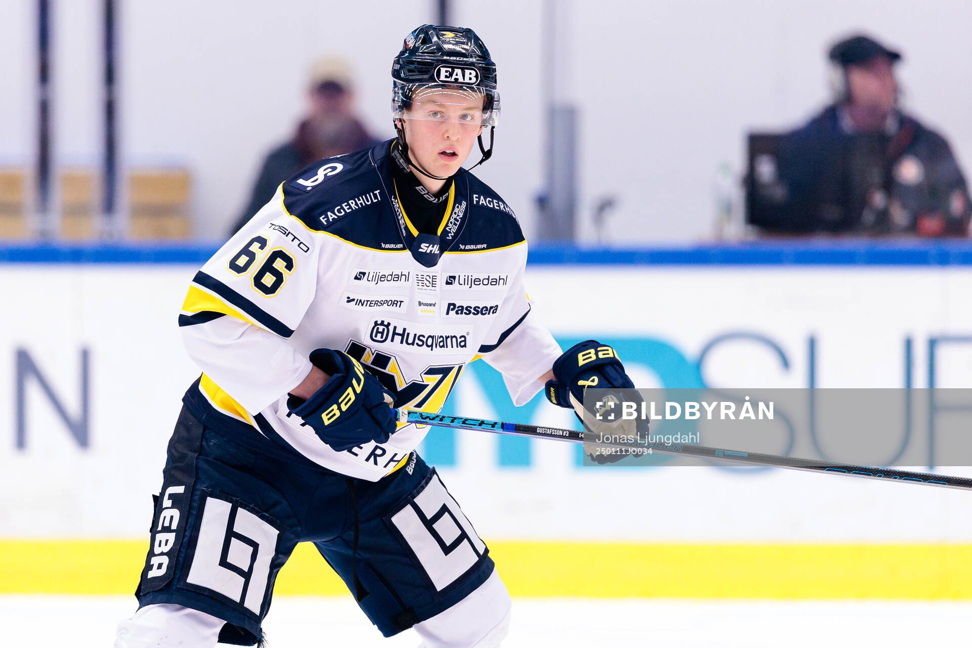 HV71s Viggo Gustafsson