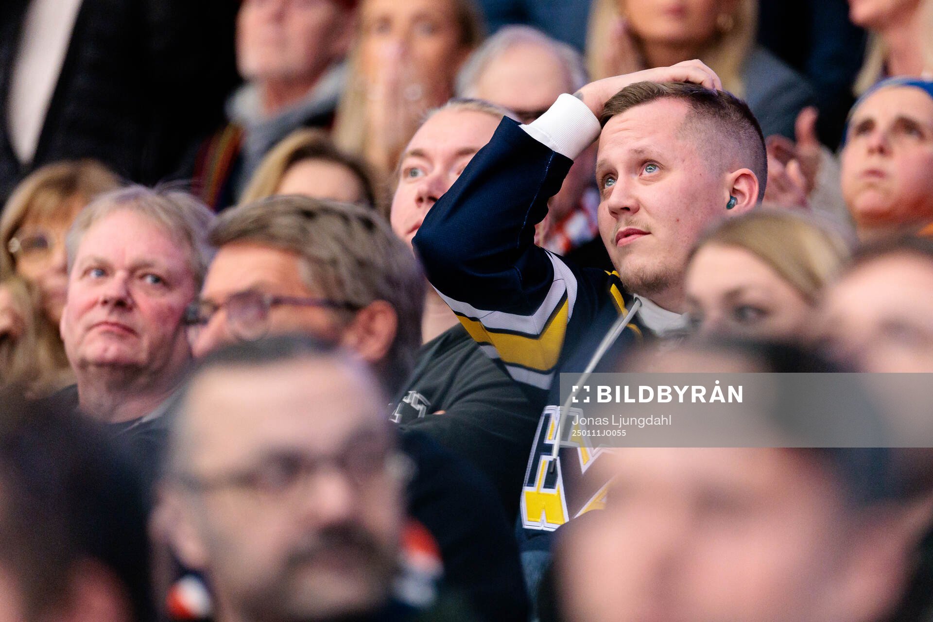 HV71supporter deppar