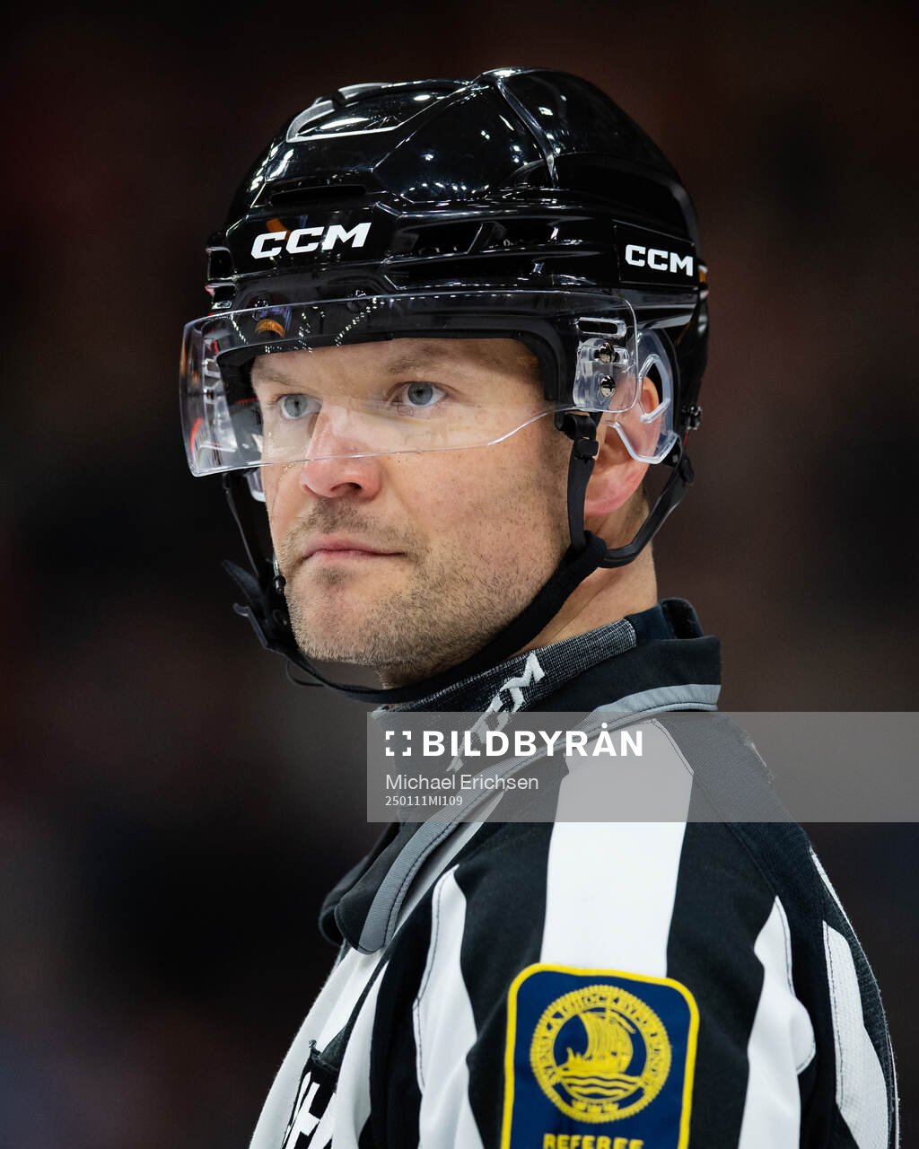 Linjedomare Ludvig Lundgren
