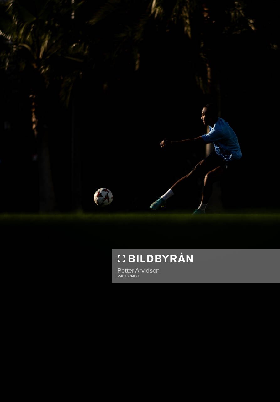 Isaac Kiese Thelin
