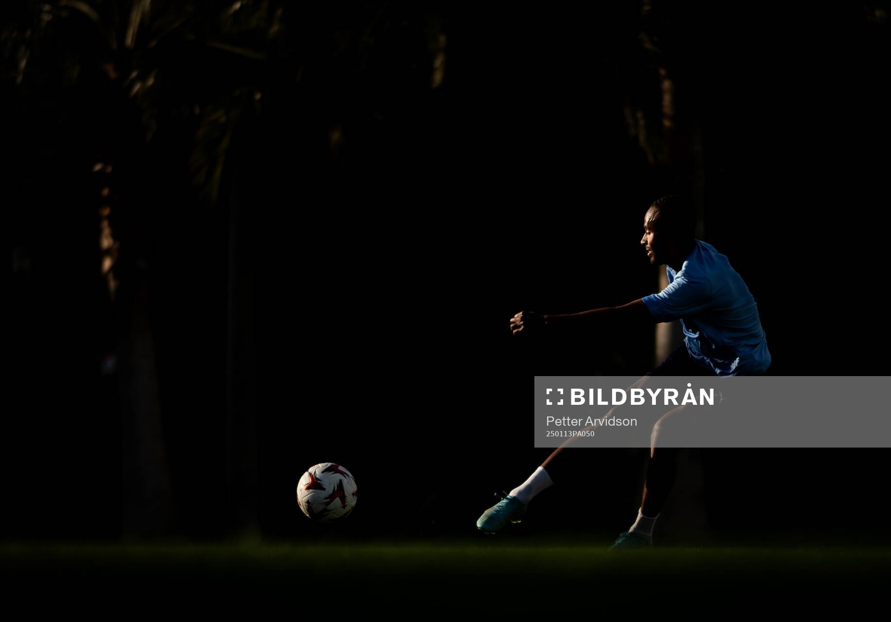 Isaac Kiese Thelin