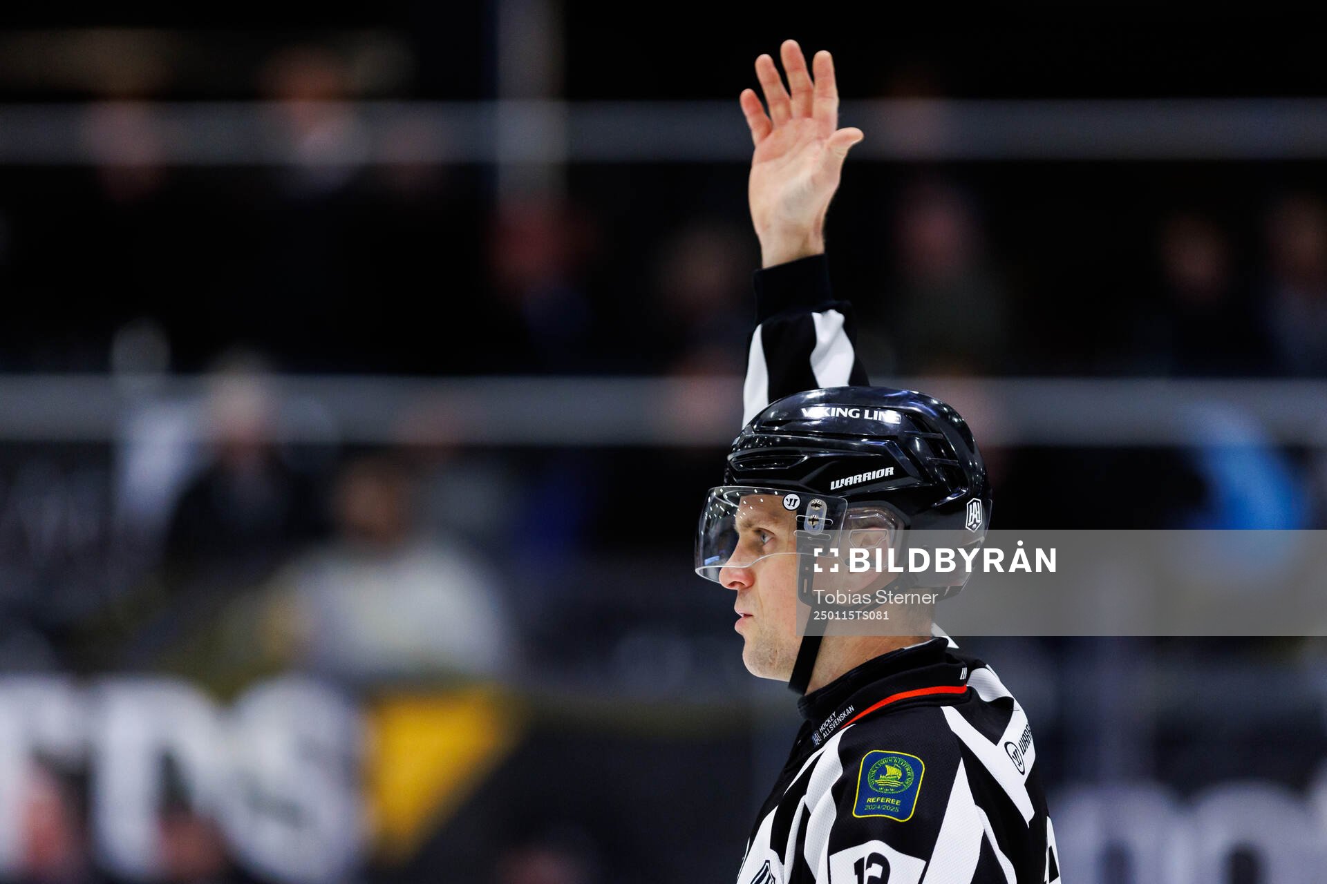Domare Stefan Leijonklo