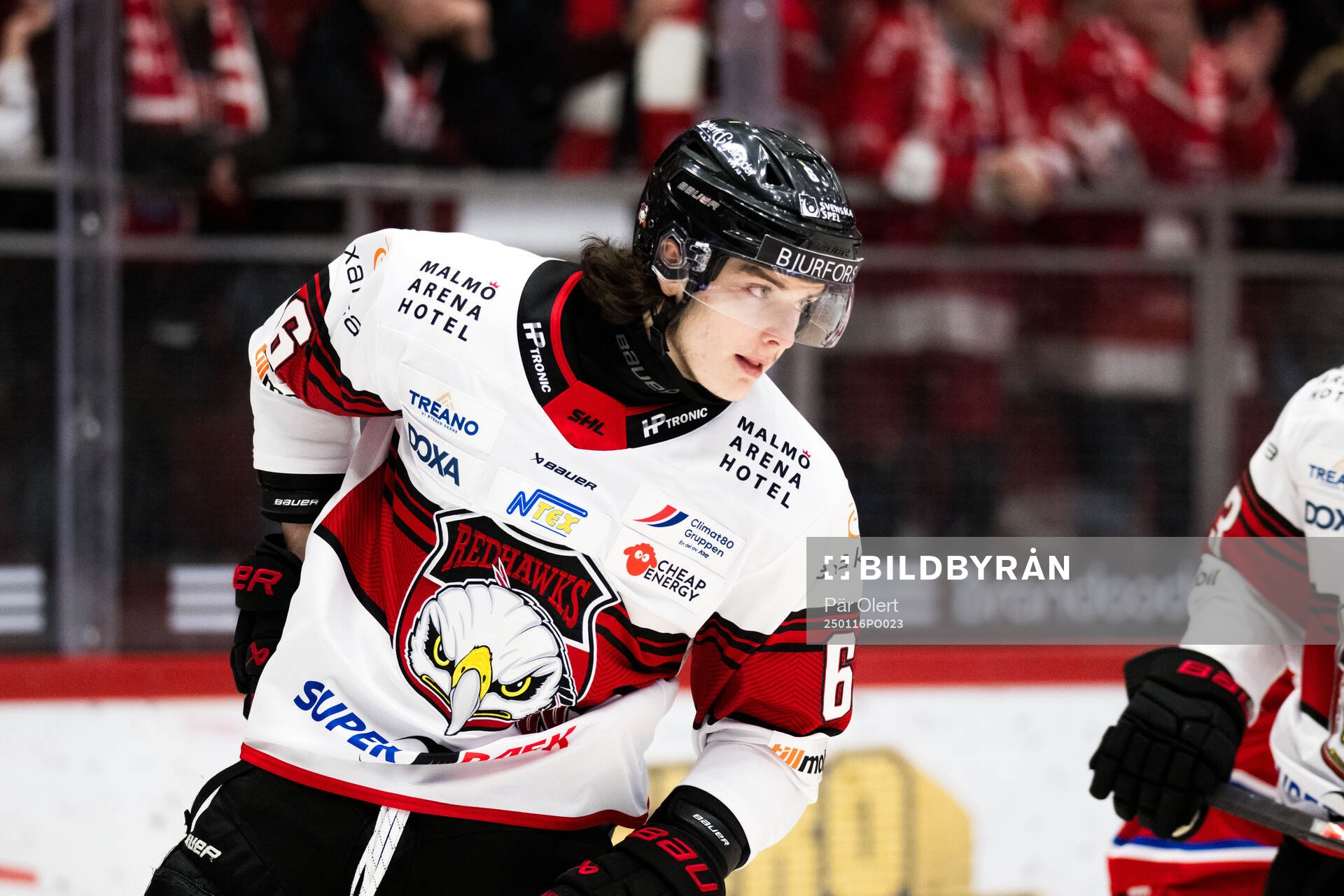 Malmö Redhawks Dominik Badinka