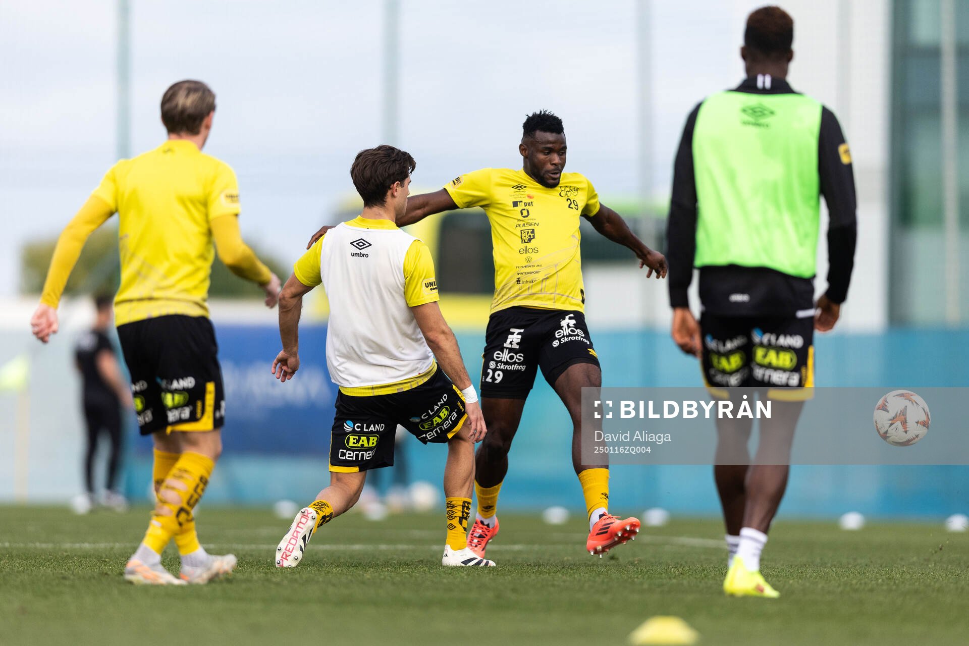 Ibrahim Buhari of Elfsborg