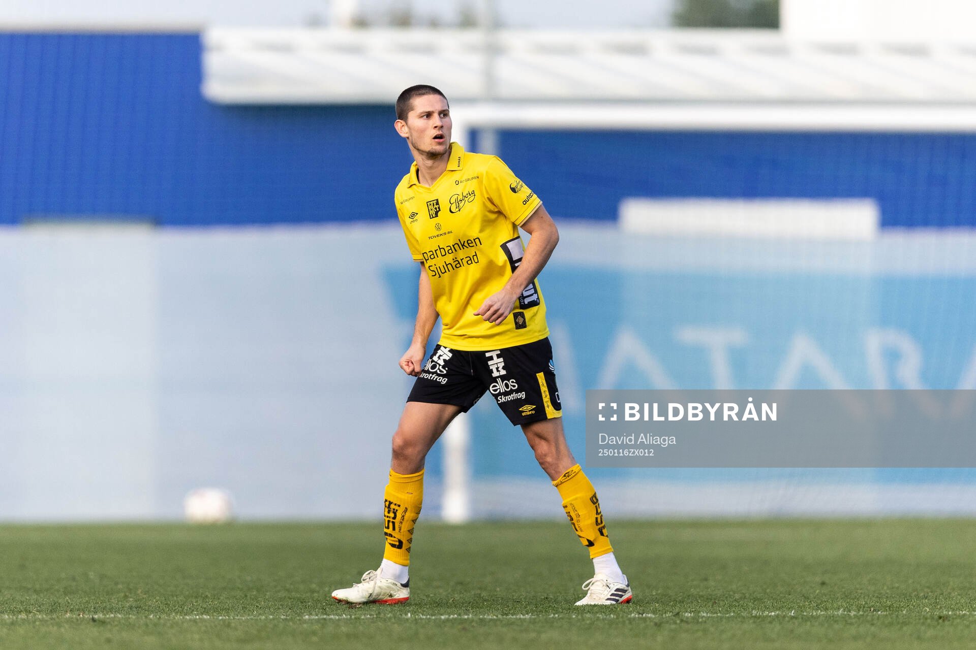 Rasmus Wikström of Elfsborg