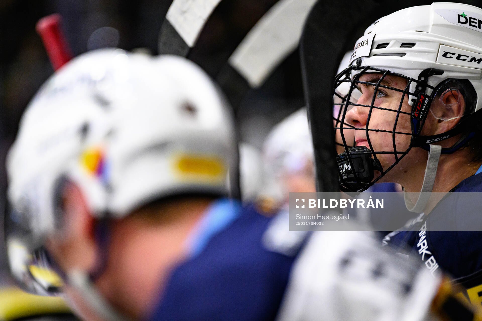 Djurgårdens Anton Frondell