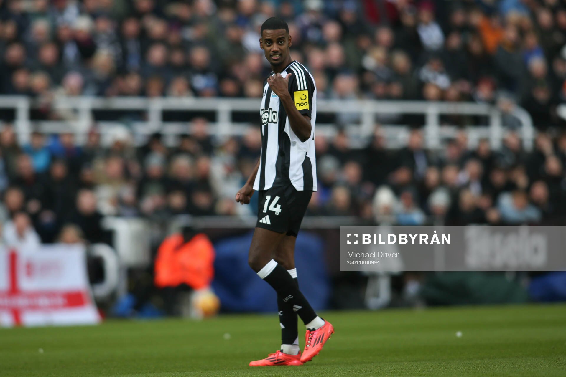 Alexander Isak of Newcastle United