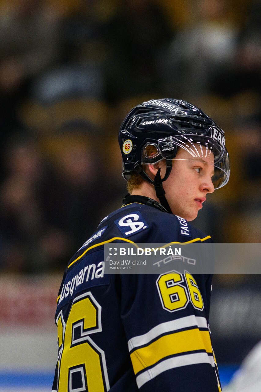 HV71s Viggo Gustafsson