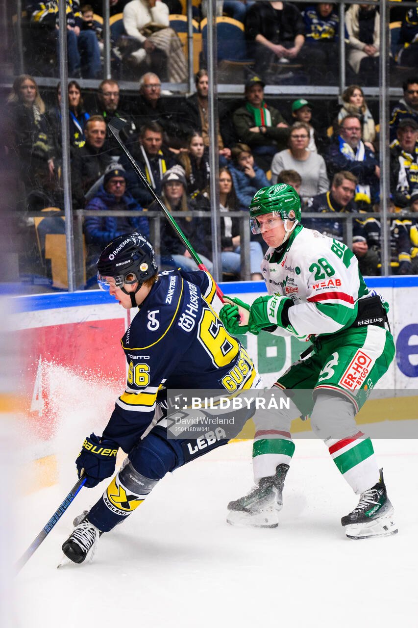 HV71s Viggo Gustafsson och Rögles Anton Bengtsson