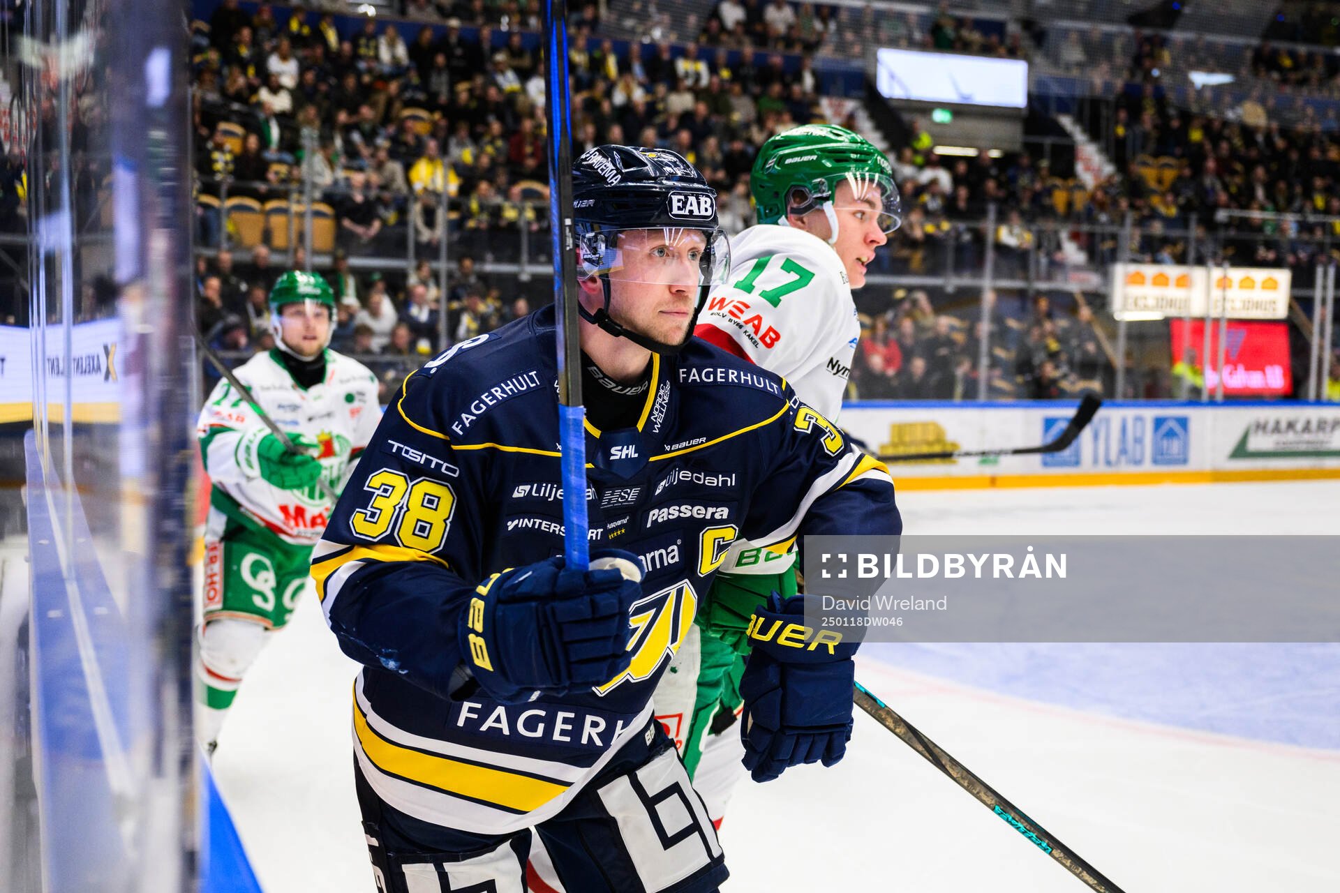 HV71s Olle Alsing och Rögles Max Karlsson