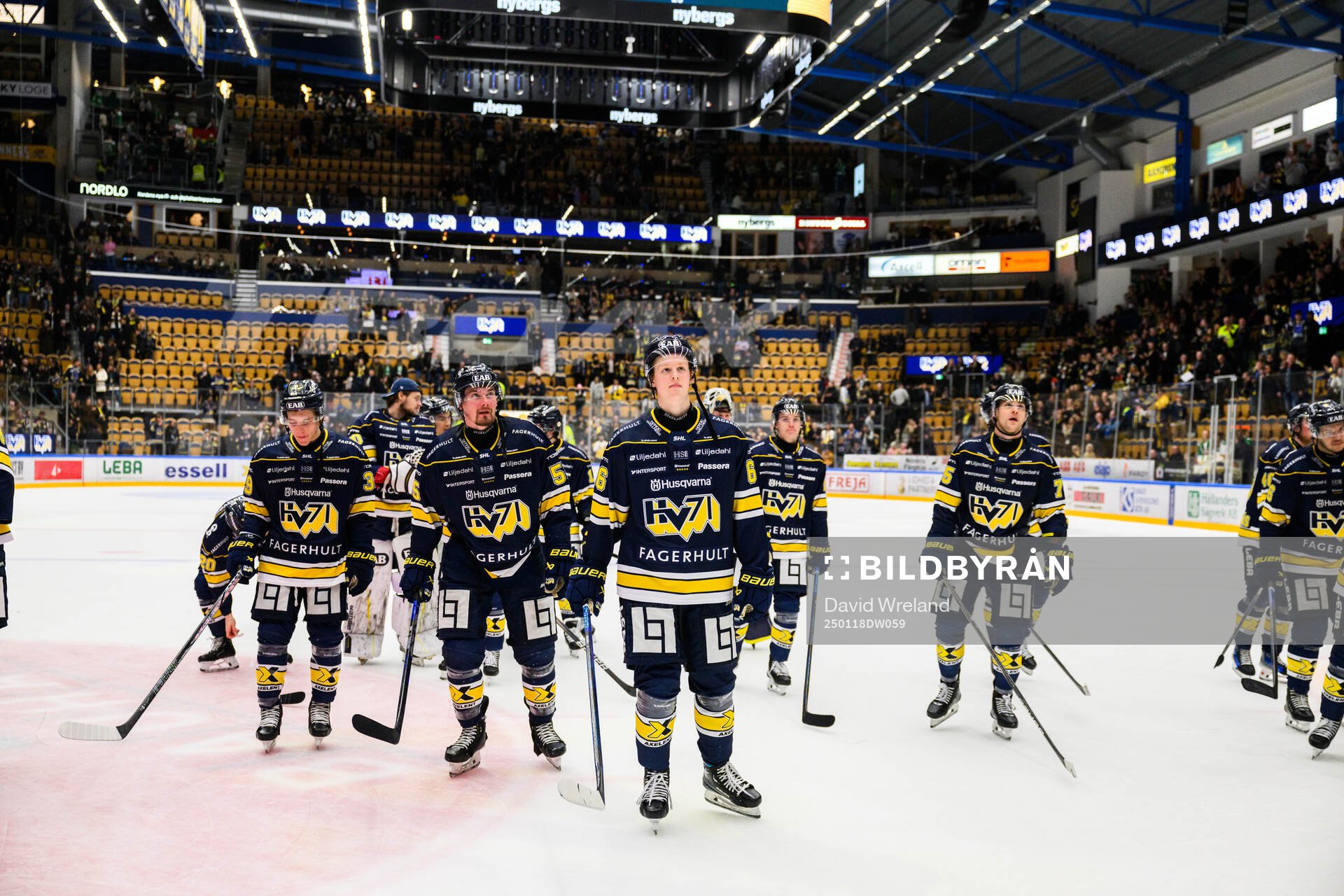 HV71s Viggo Gustafsson jublar