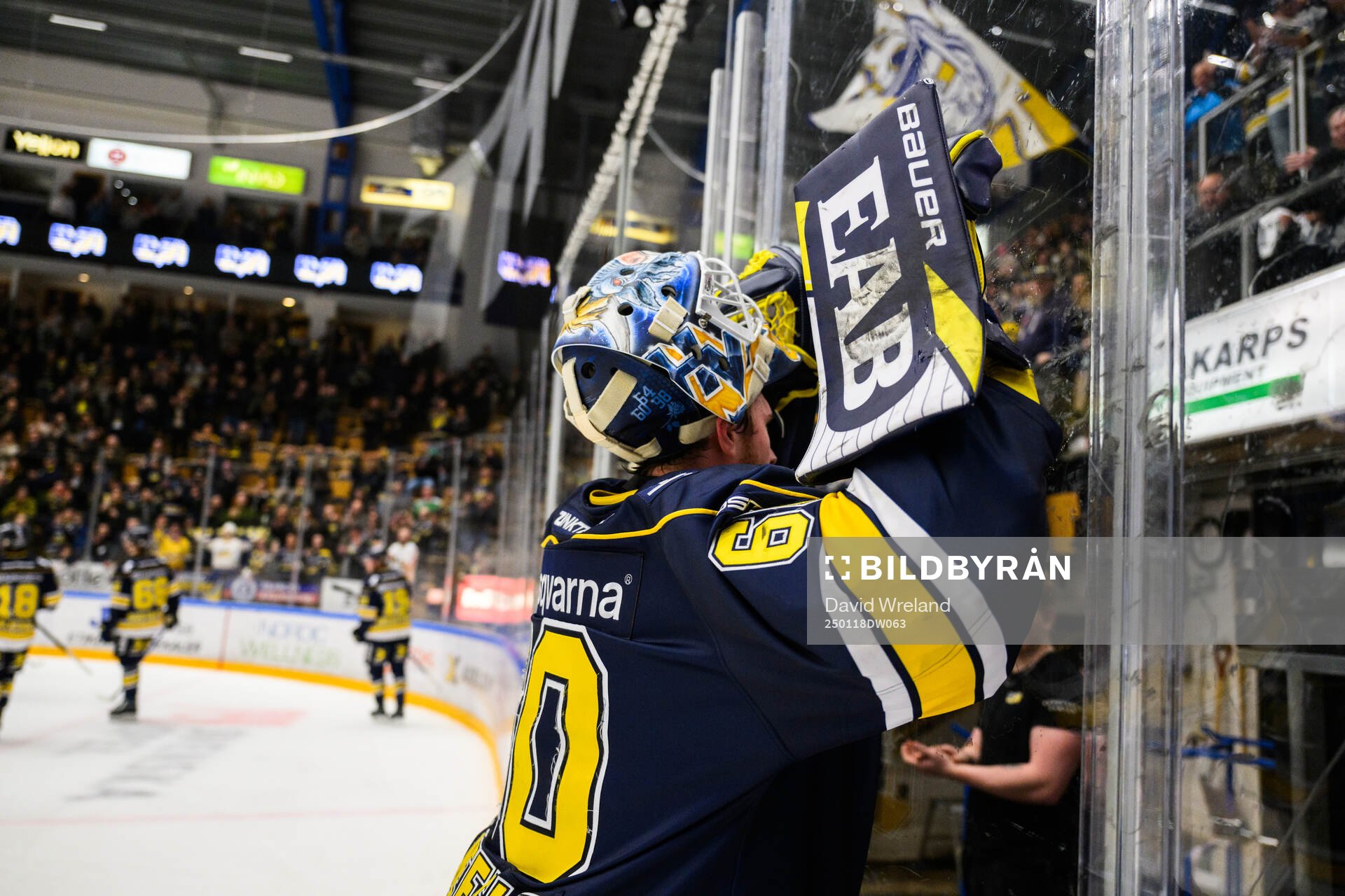 HV71s målvakt Hugo Alnefelt  jublar