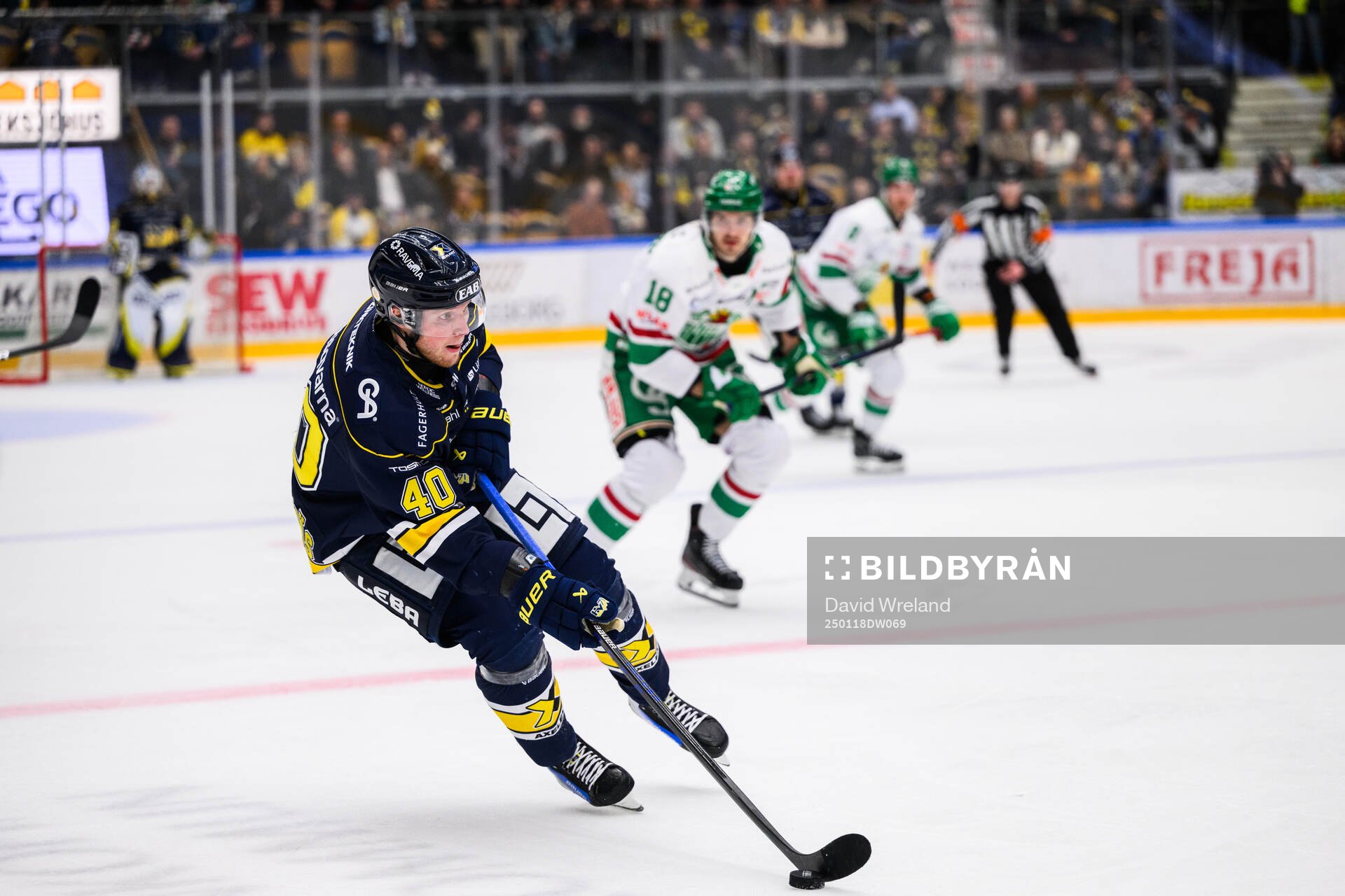 HV71s Oskar Stål-Lyrenäs