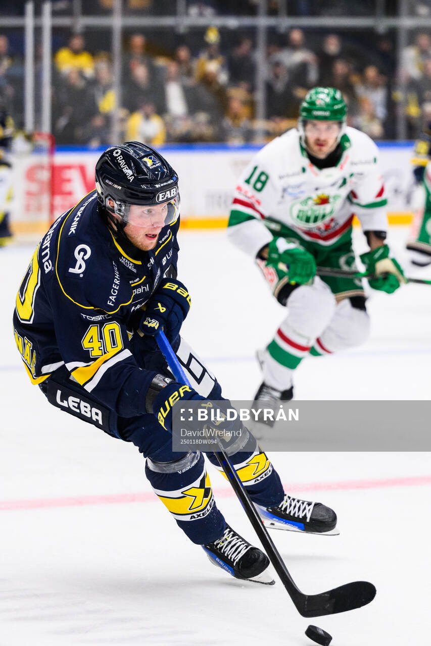 HV71s Oskar Stål-Lyrenäs