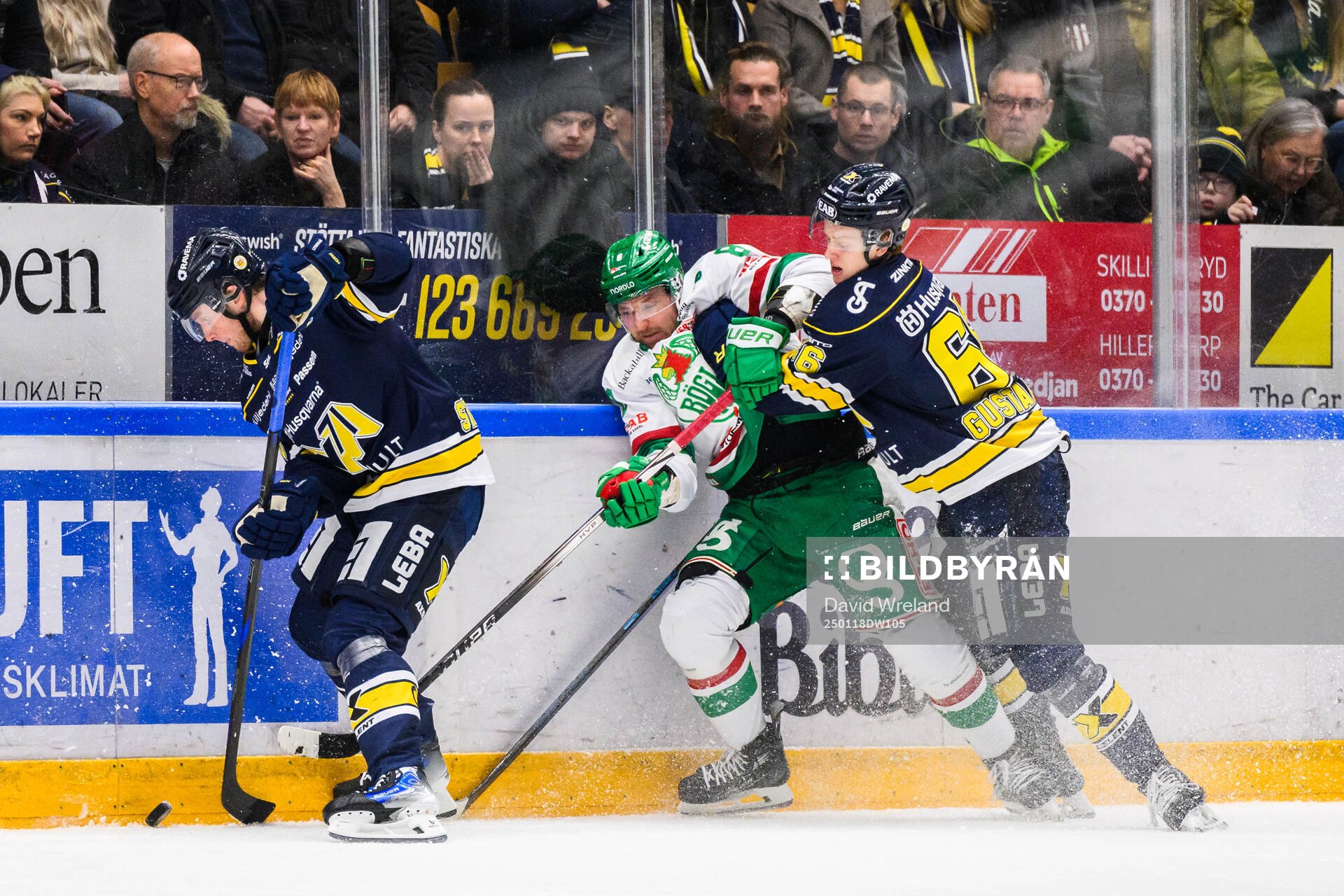 HV71s Oskar Stål-Lyrenäs, Viggo Gustafsson och Rögles
