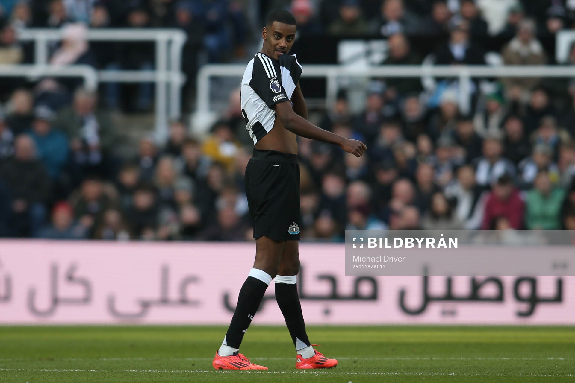 Alexander Isak of Newcastle United