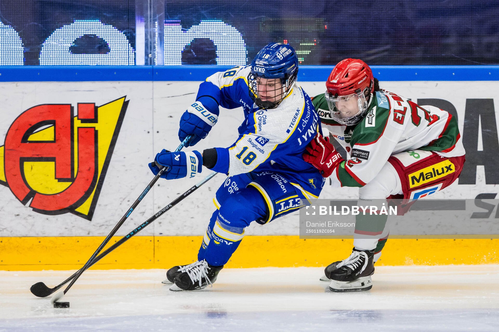 Leksands Saga Tynell-Nissas och Modos Darcie Lappan