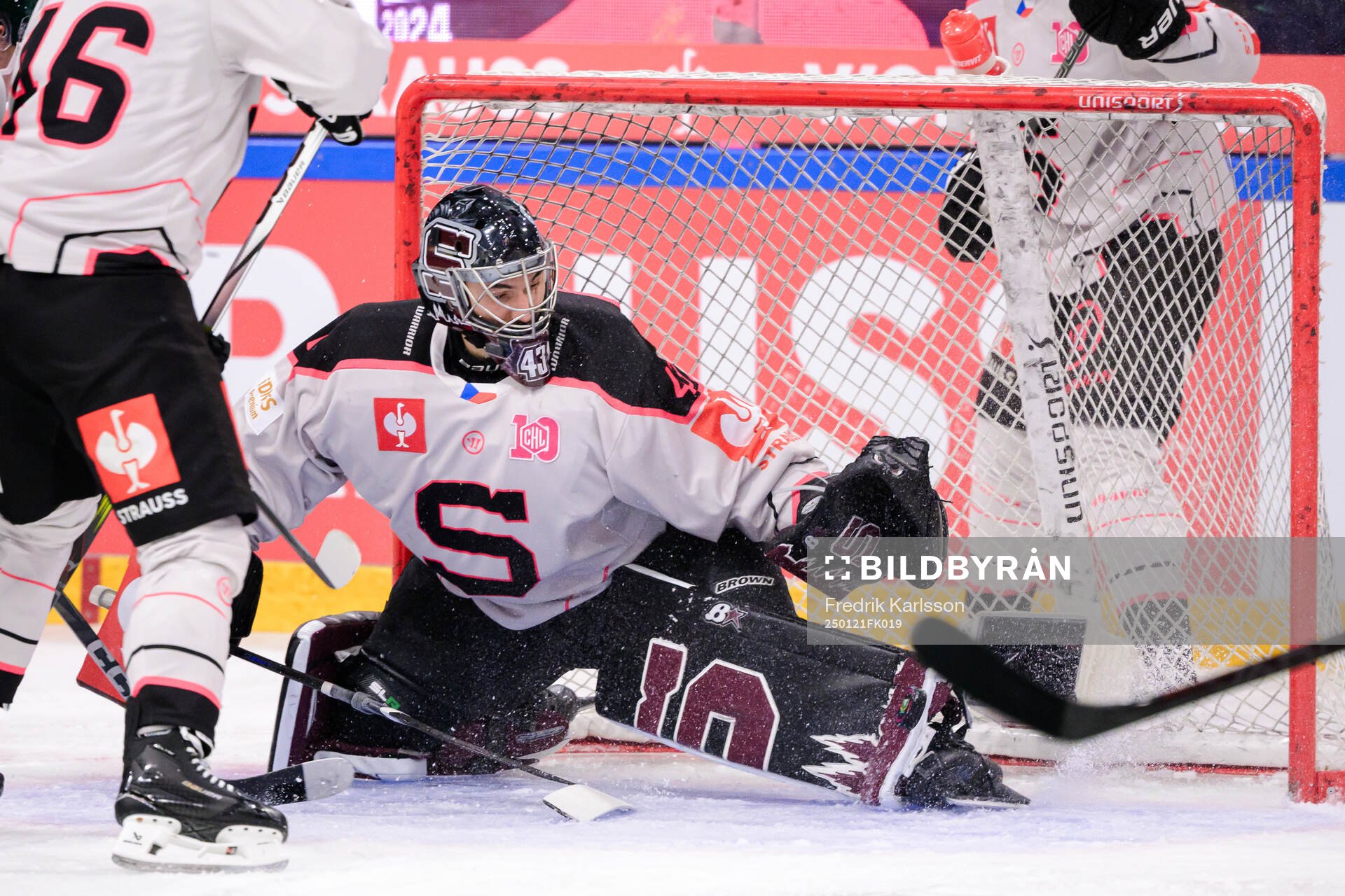 goaltender Jakub Kovar of Sparta Prague