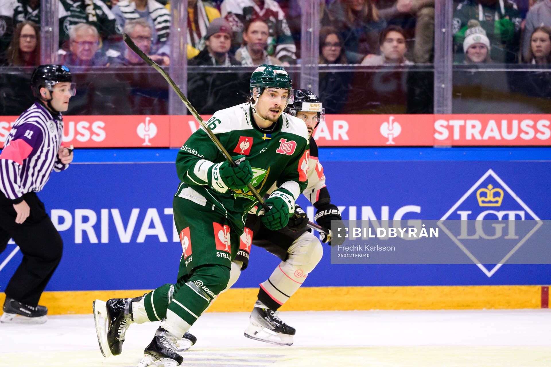 David Tomasek of Färjestad