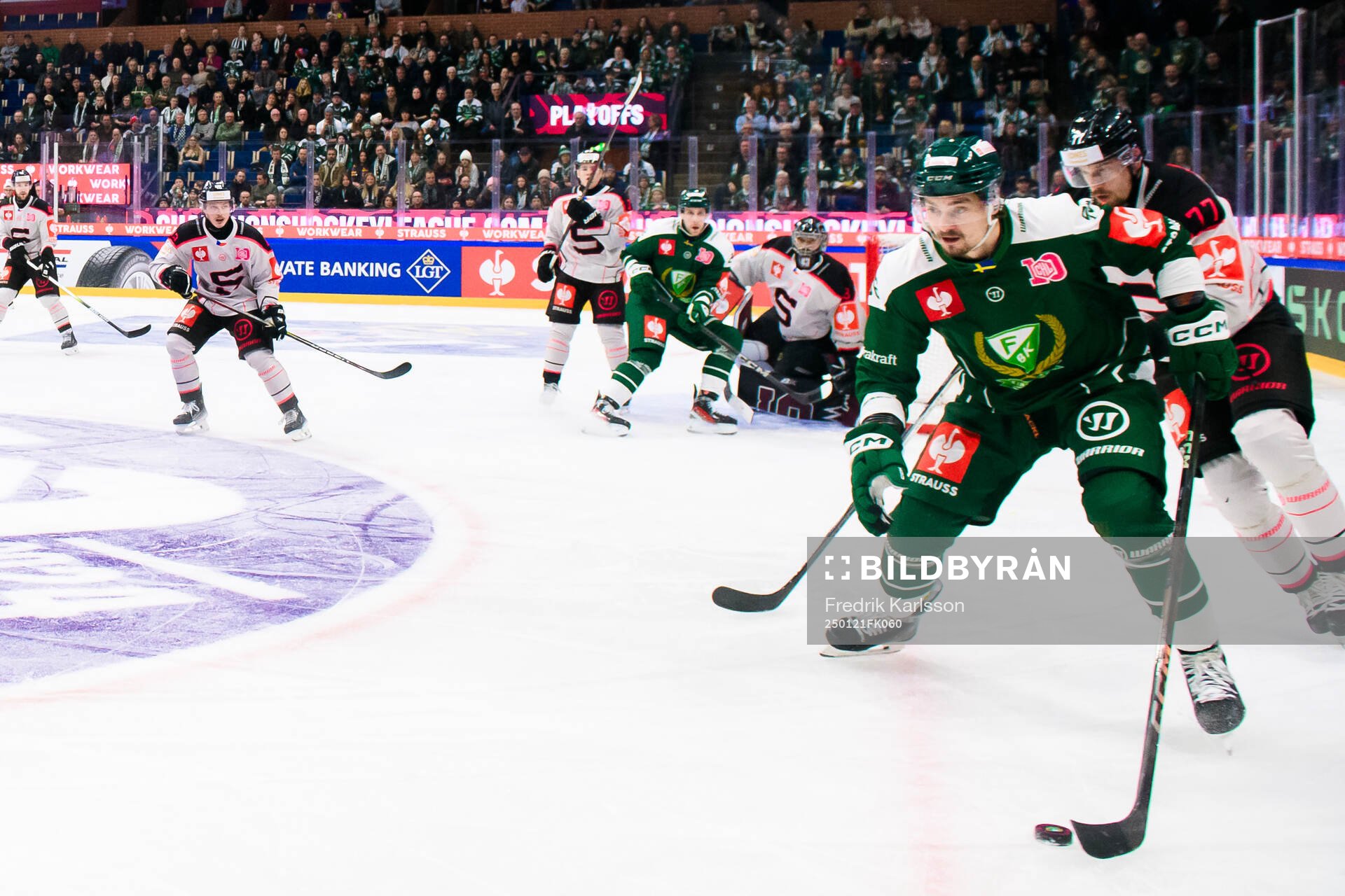 David Tomasek of Färjestad  and David Nemecek of Sparta