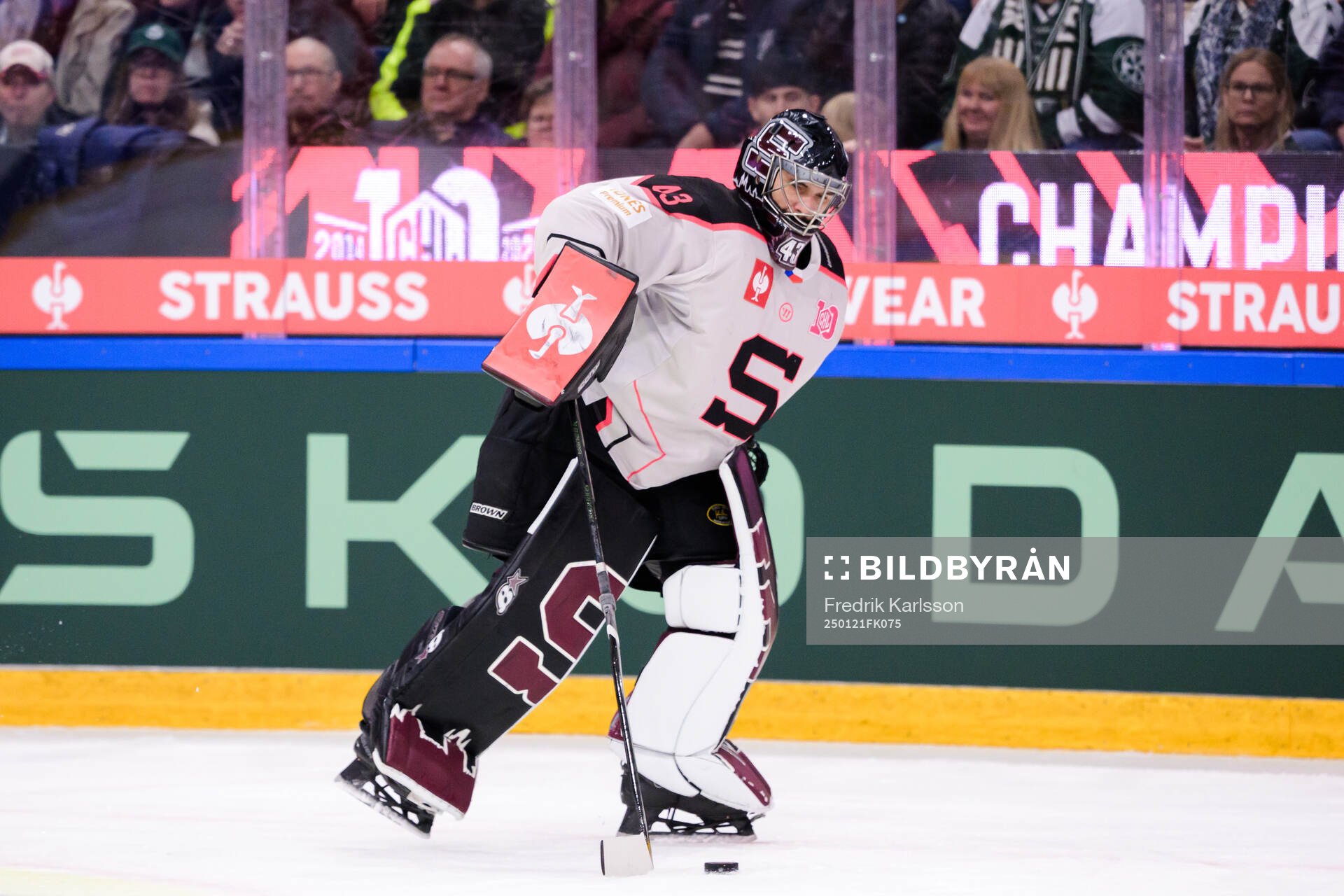 goaltender Jakub Kovar of Sparta Prague