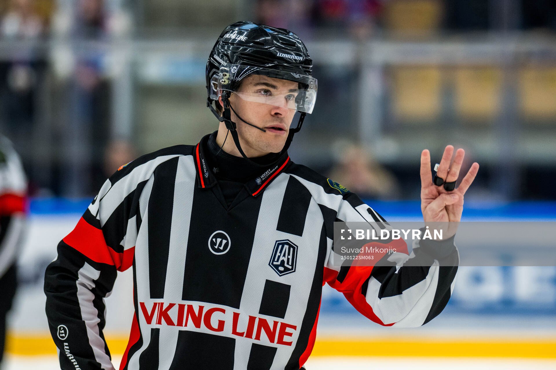 Domare Stefan Leijonklo