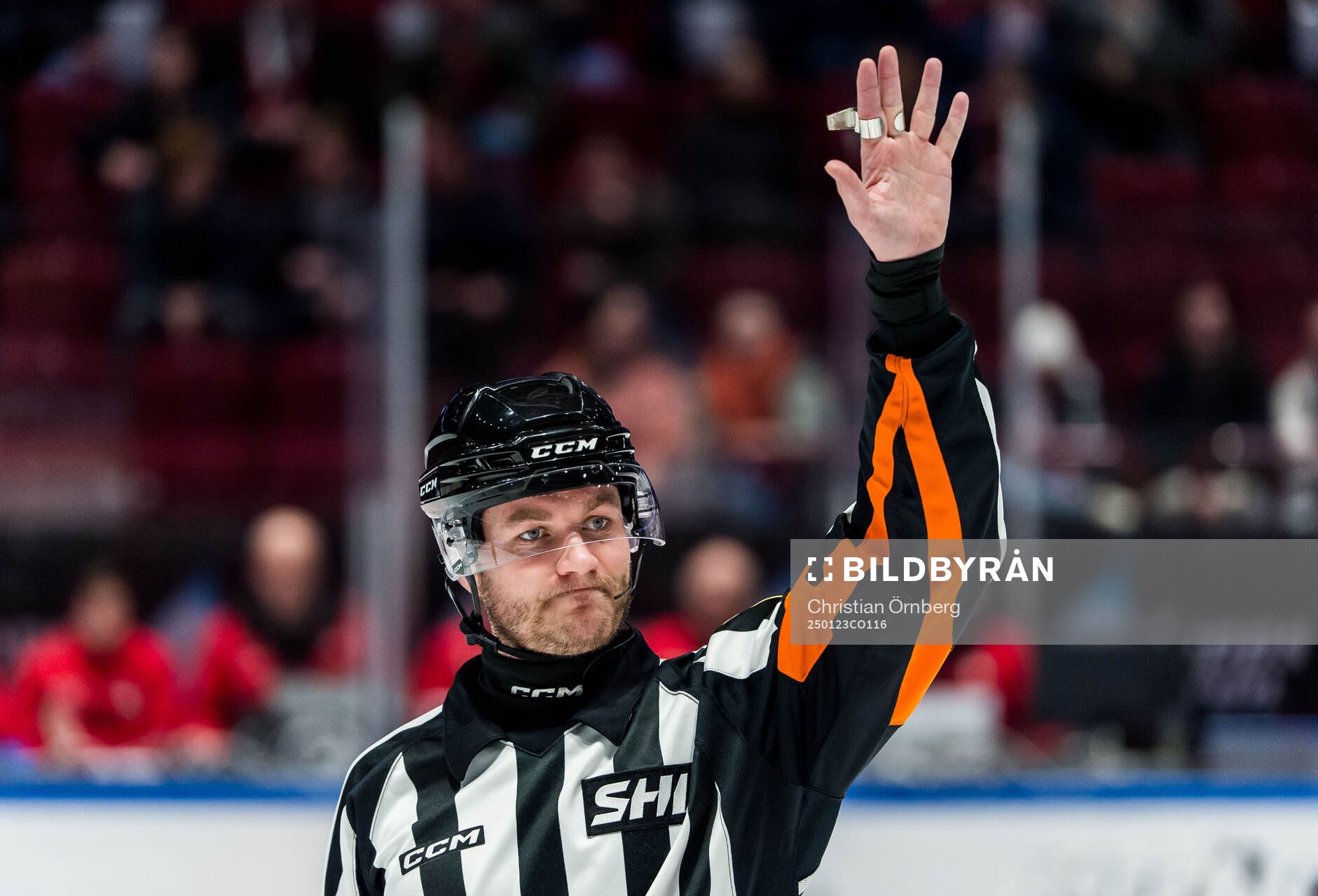 Domare Daniel Eriksson