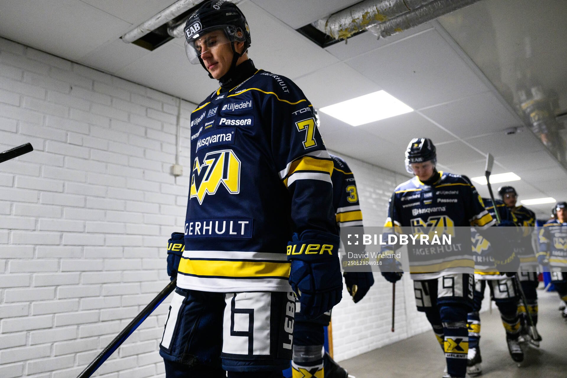 HV71s Herman Hansson