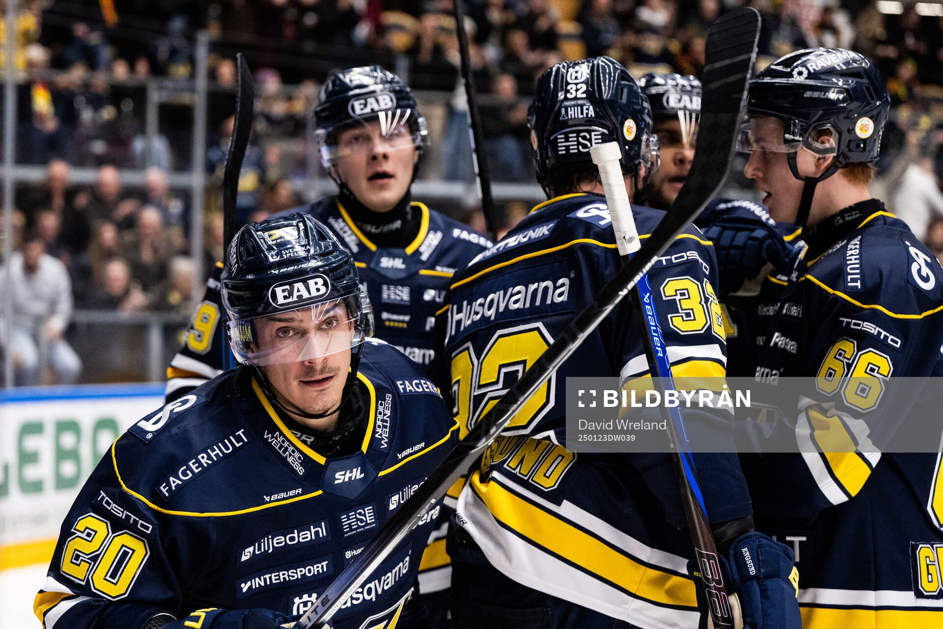 HV71s Andre Petersson jublar