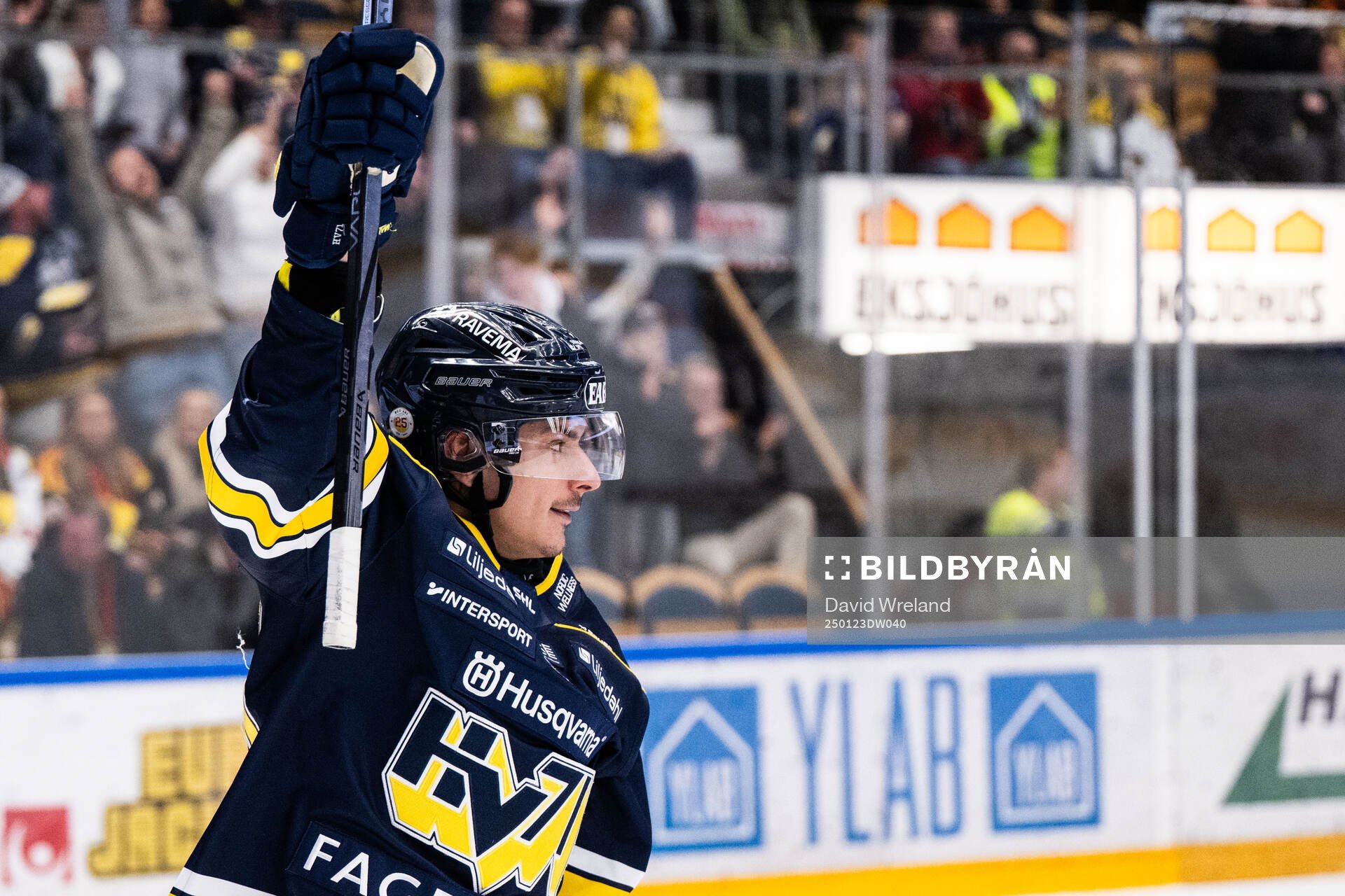 HV71s Andre Petersson jublar