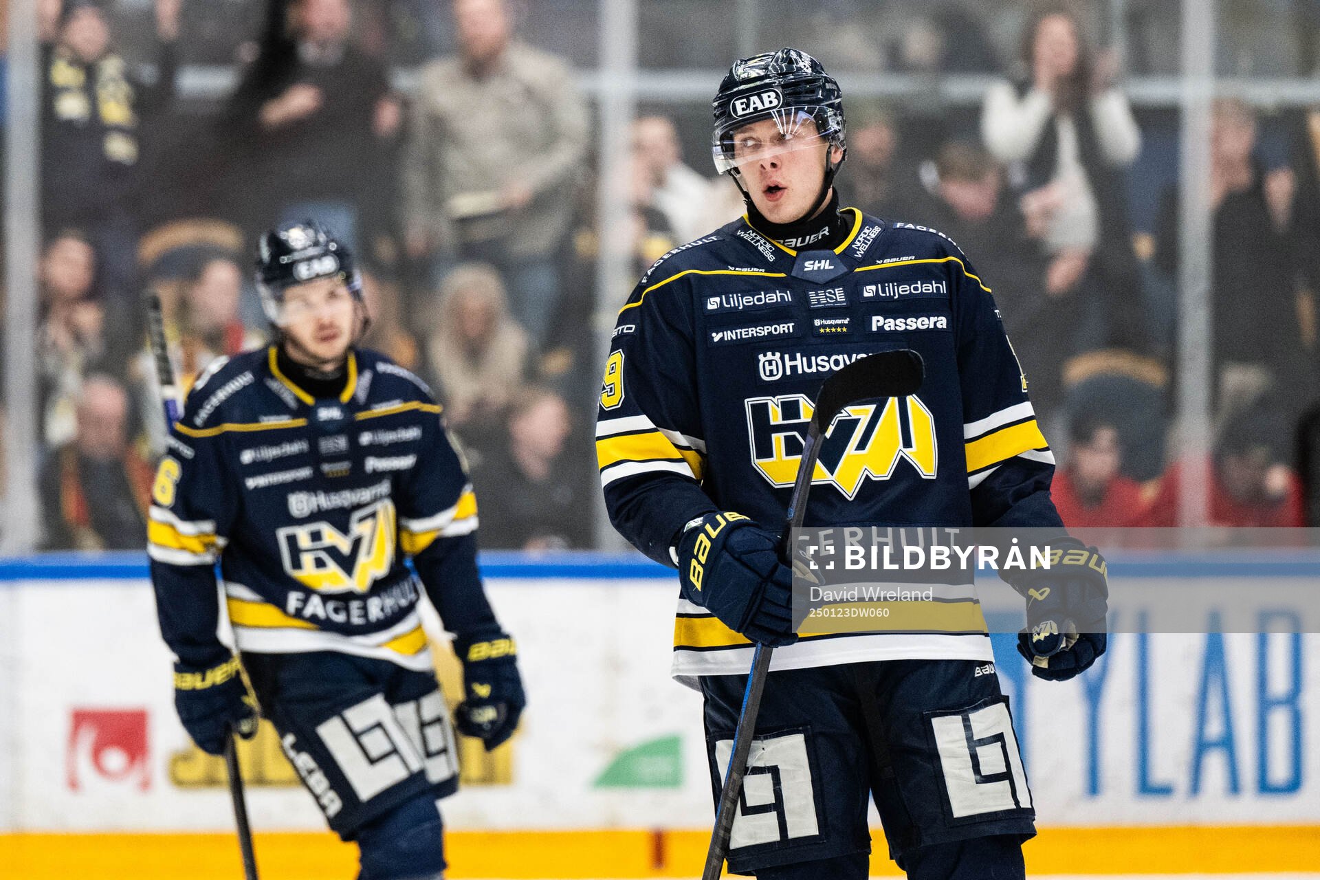 HV71s Henrik Borgström jublar
